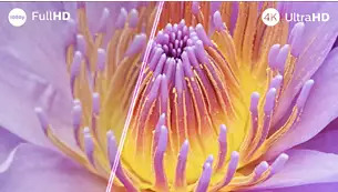 Philips 65OLED809 OLED+ TV, 164 cm (65 Zoll), 4K UHD, Ambilight| EAN: 8718863042052