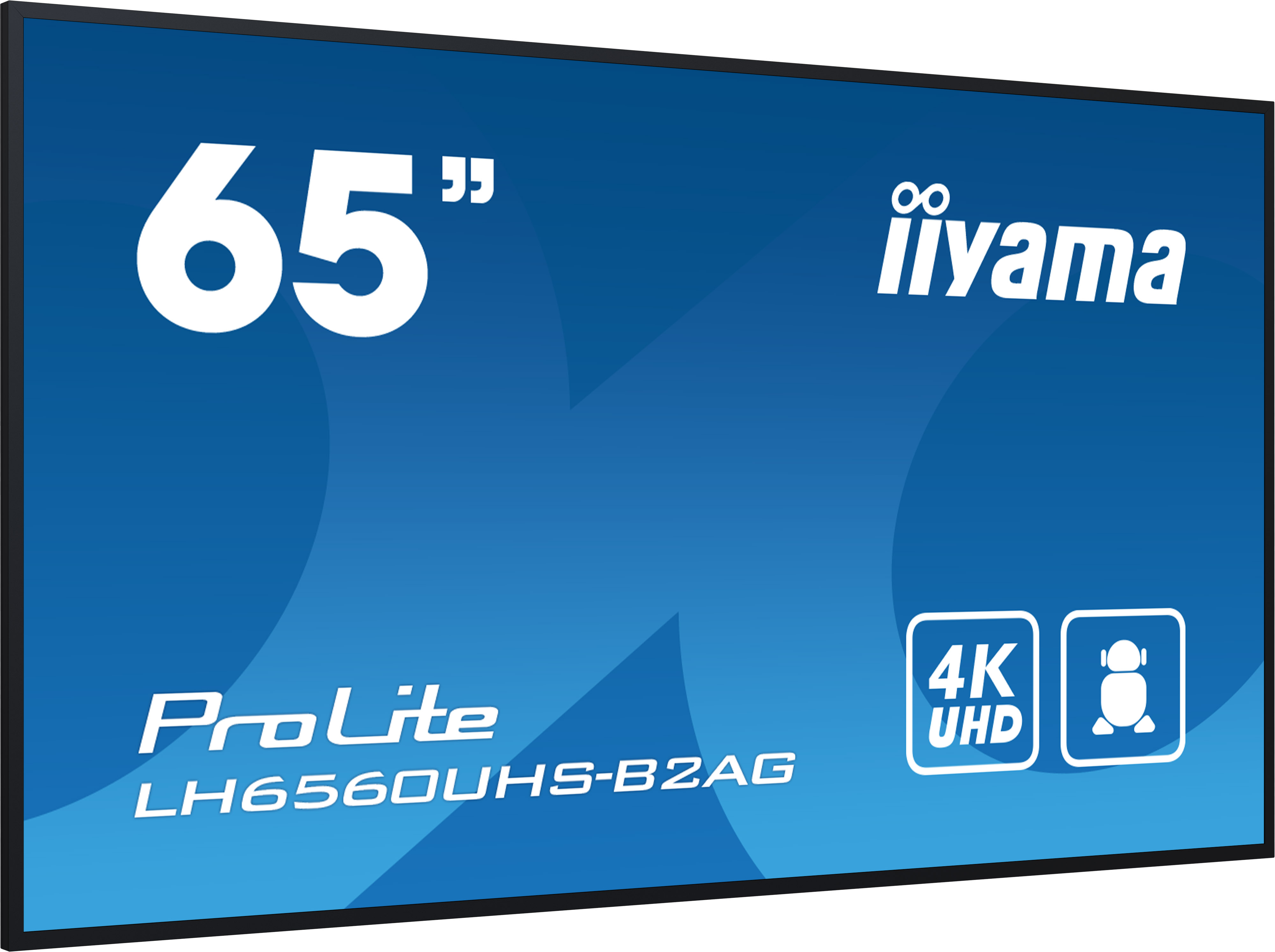 iiyama LH6560UHS-B2AG