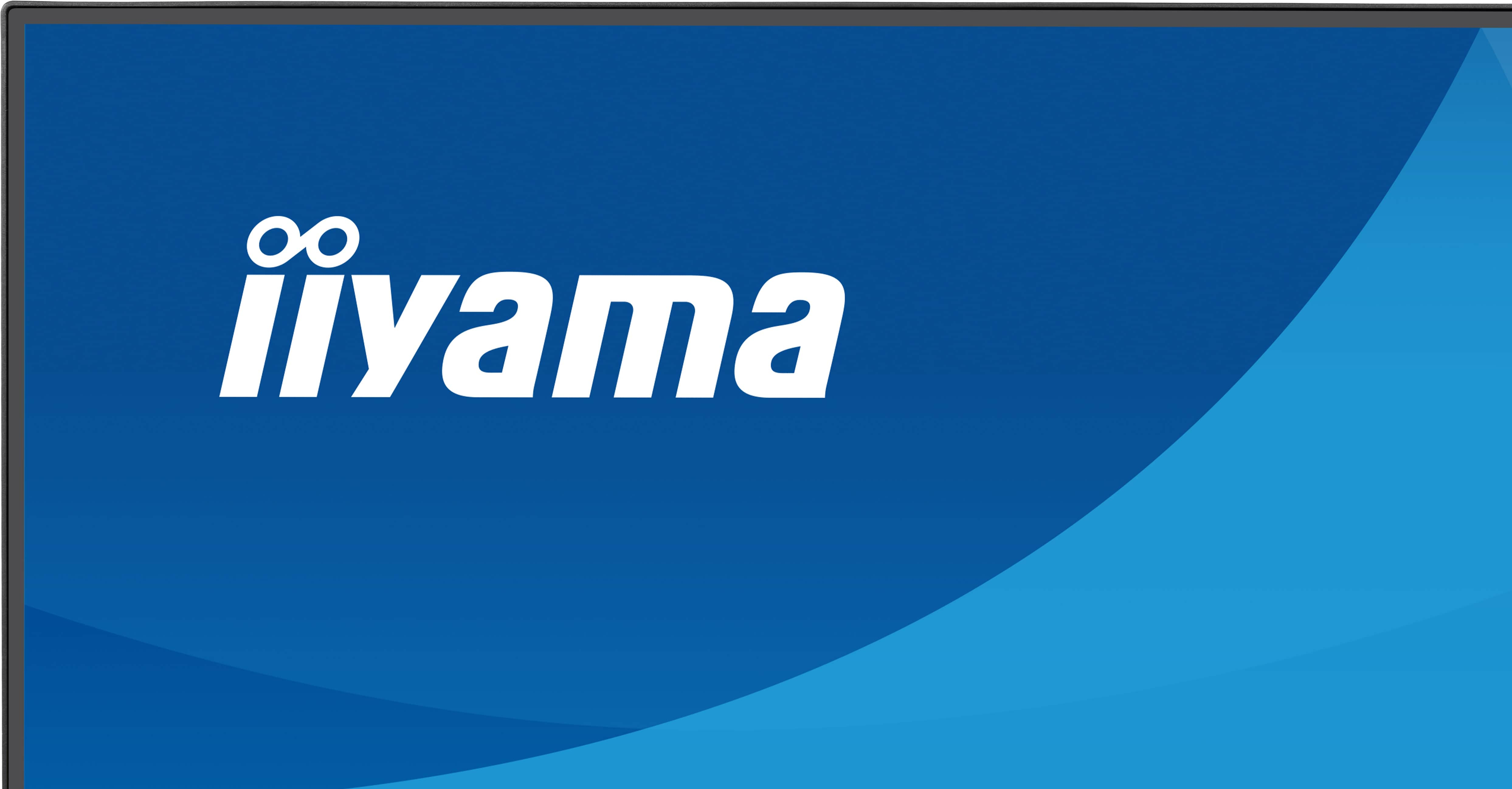 iiyama ProLite X2491H-B1