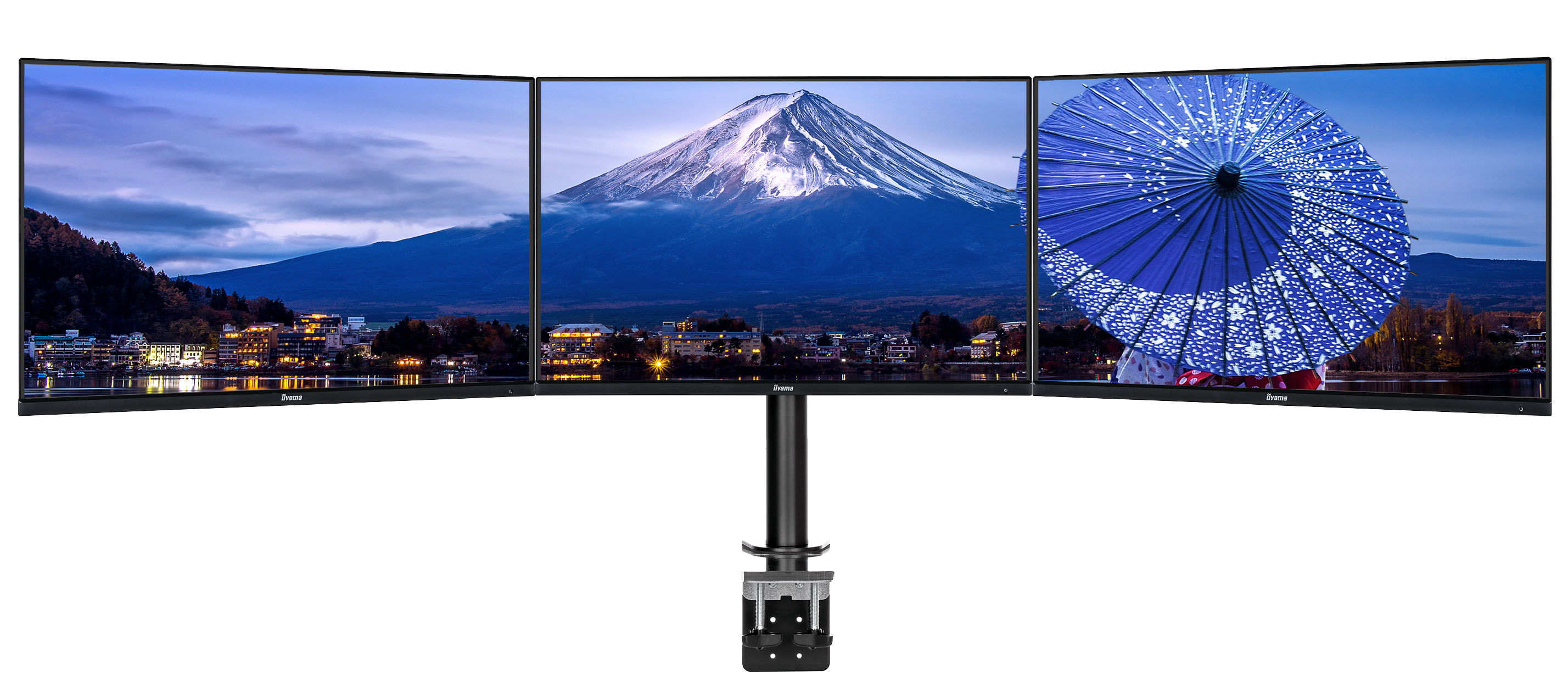 iiyama DS1003C-B1