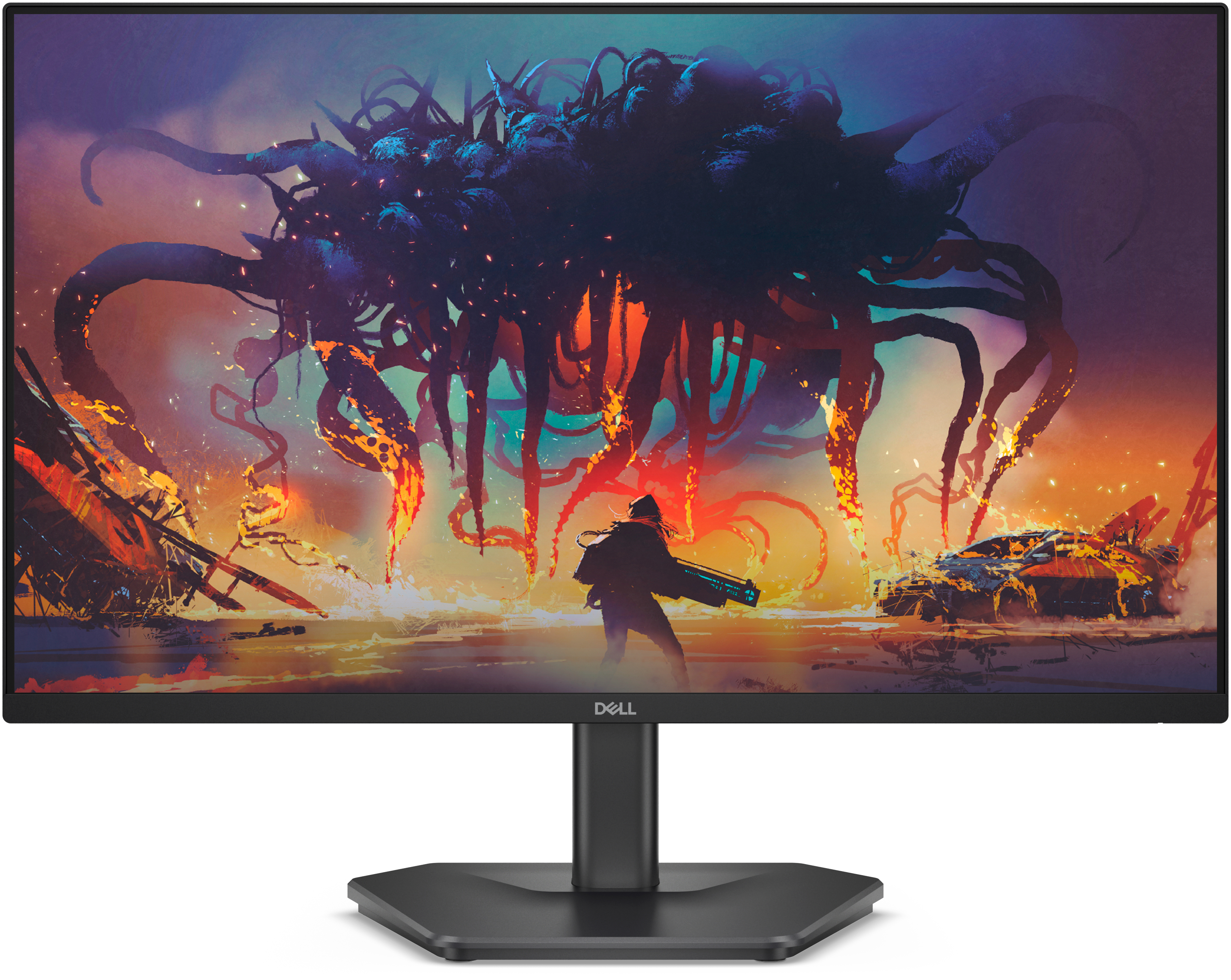 Dell SE2425HG