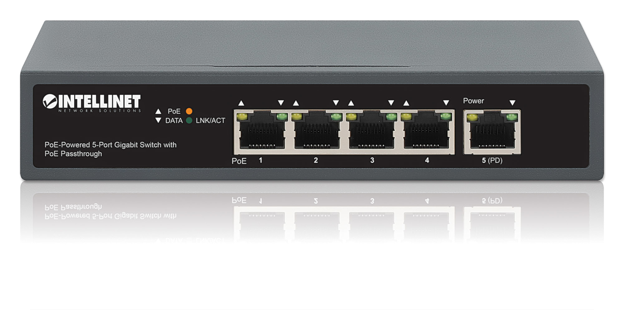Intellinet 561808