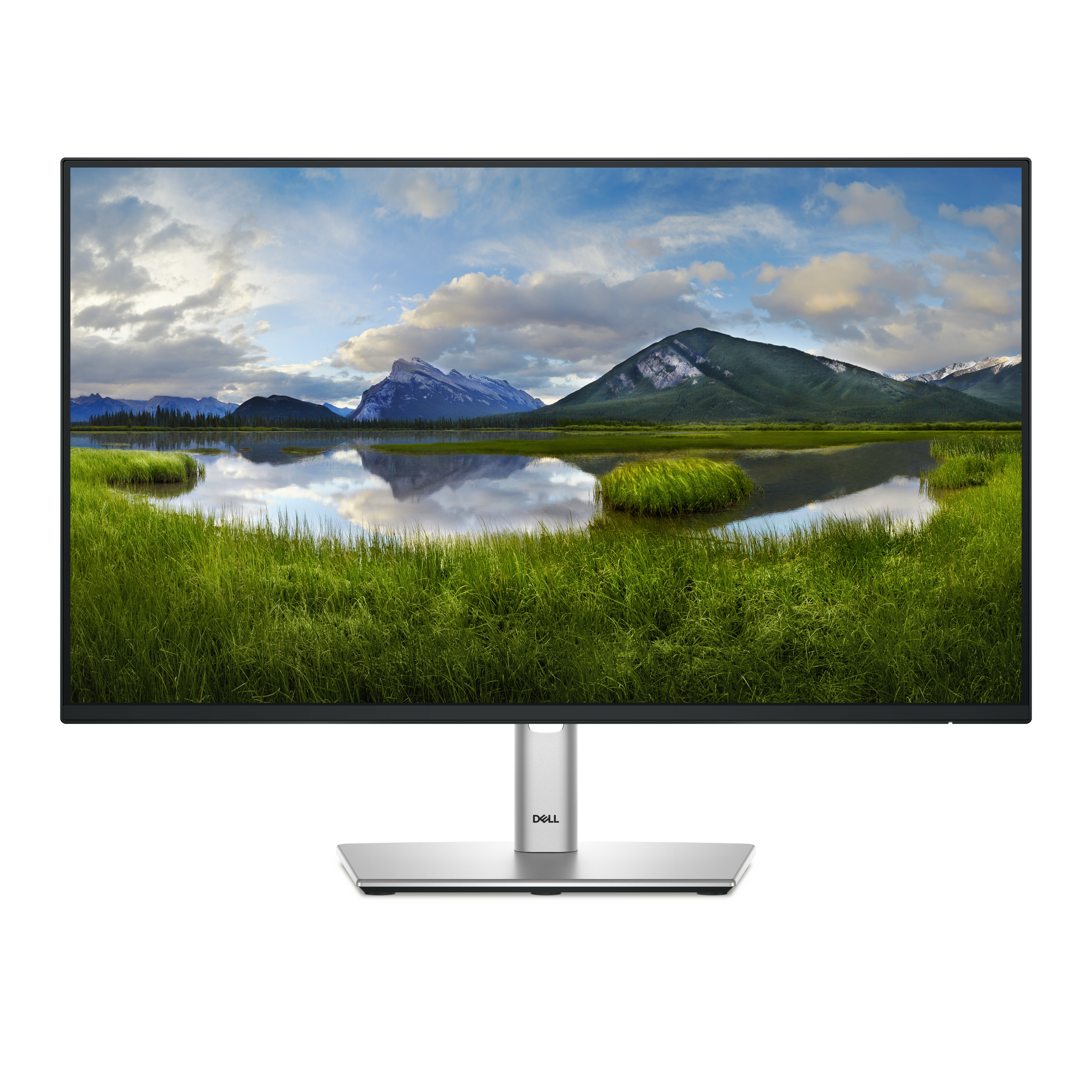 Dell P2425HE