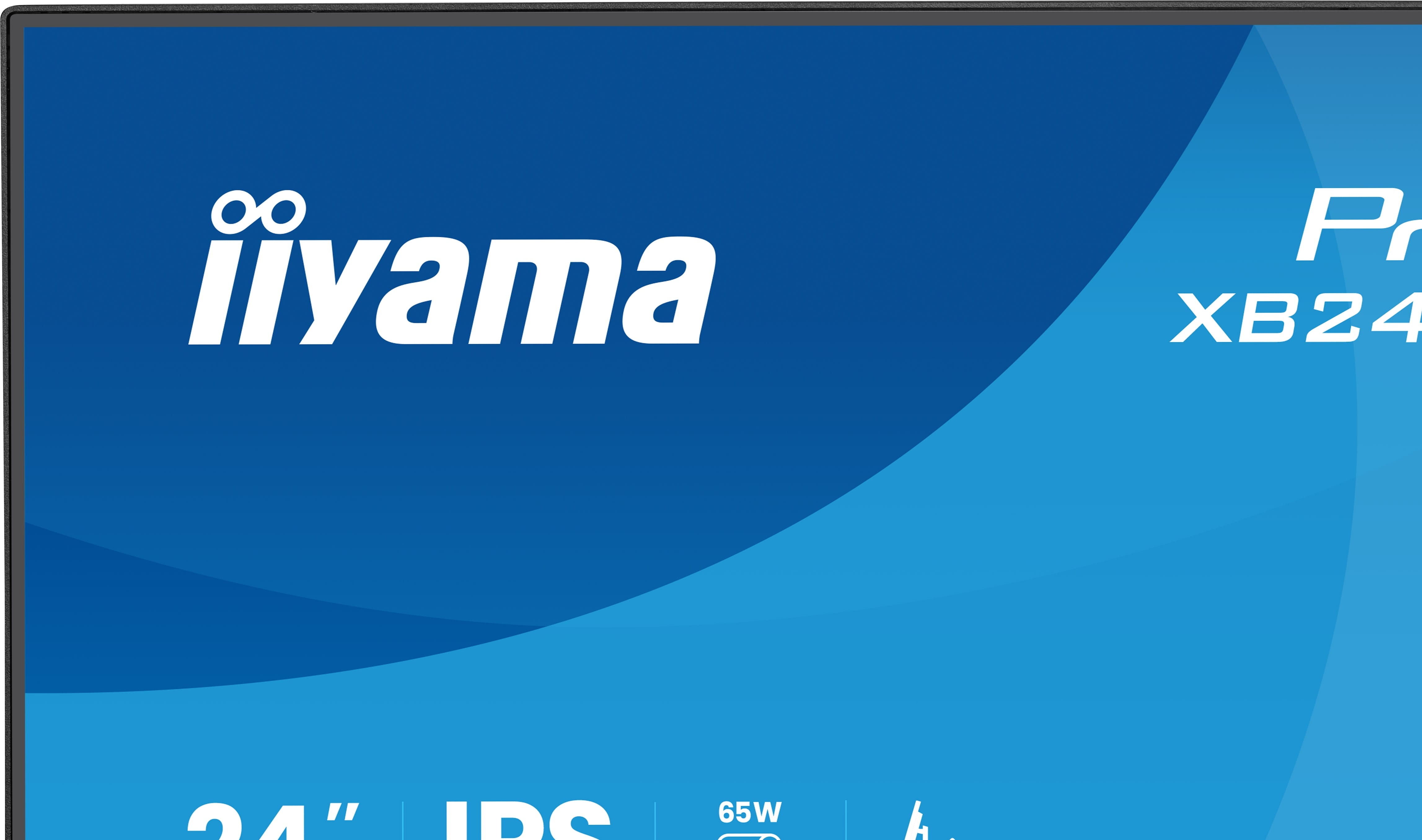 iiyama ProLite XB2496HSC-B1