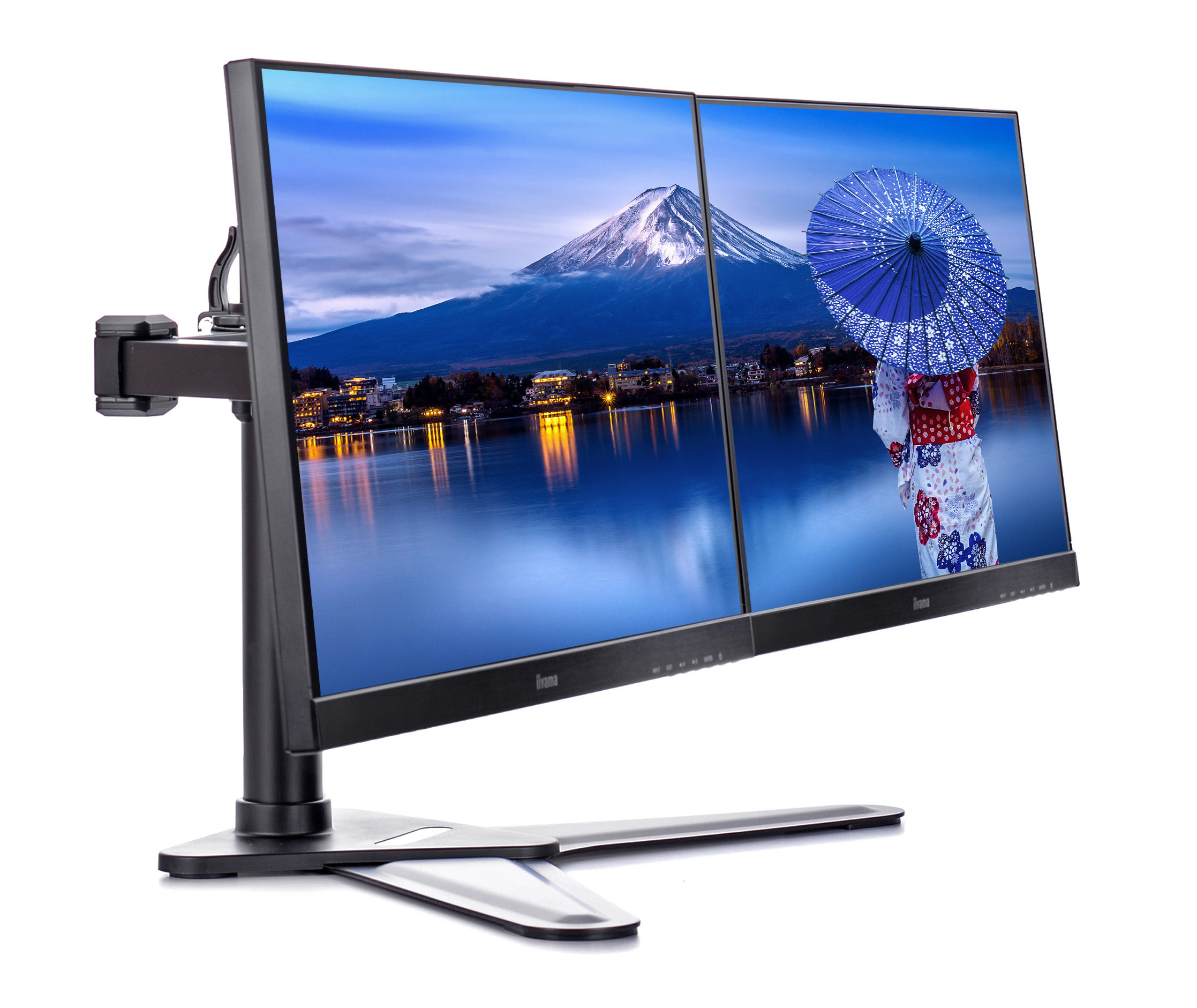 iiyama DS1002D-B1