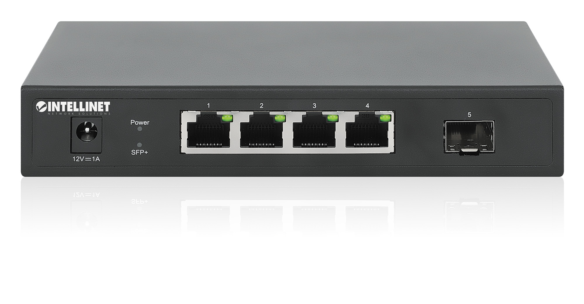 Intellinet 562058
