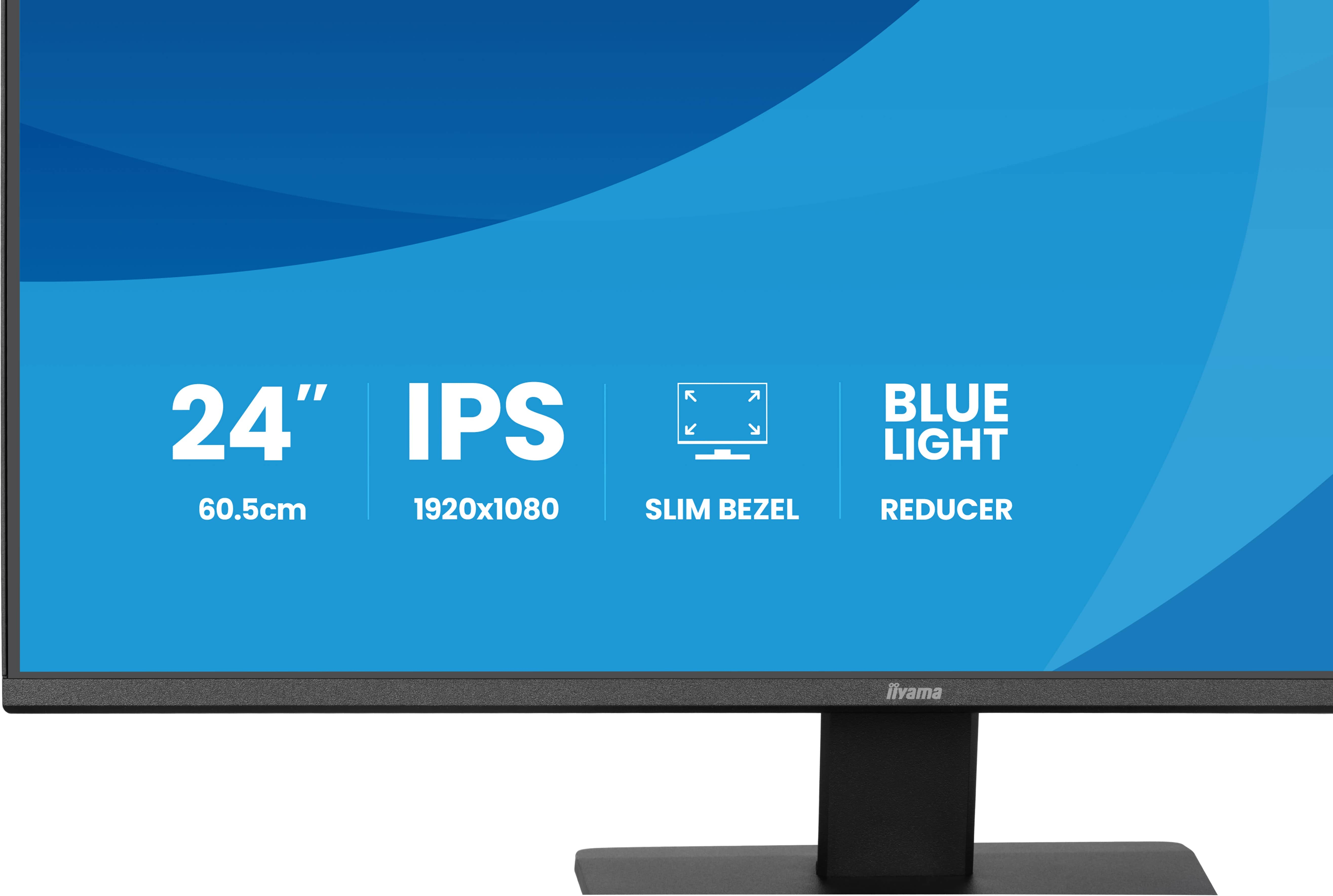 iiyama ProLite X2491H-B1