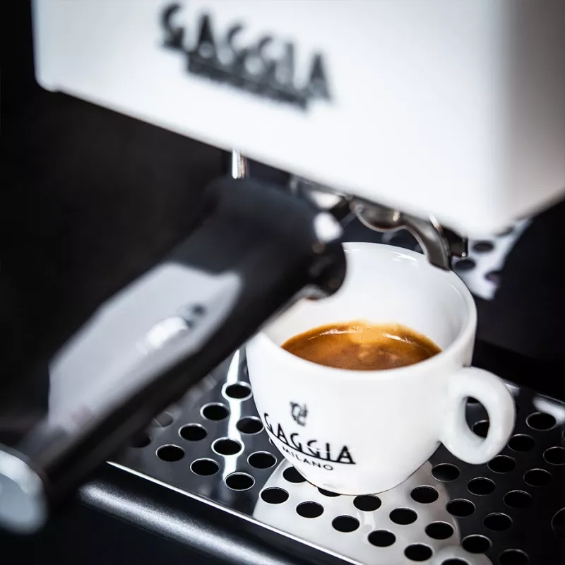 Inklusive Filterset für alle Erfahrungsstufen Gaggia New Classic Evo White portafilter espresso machine
