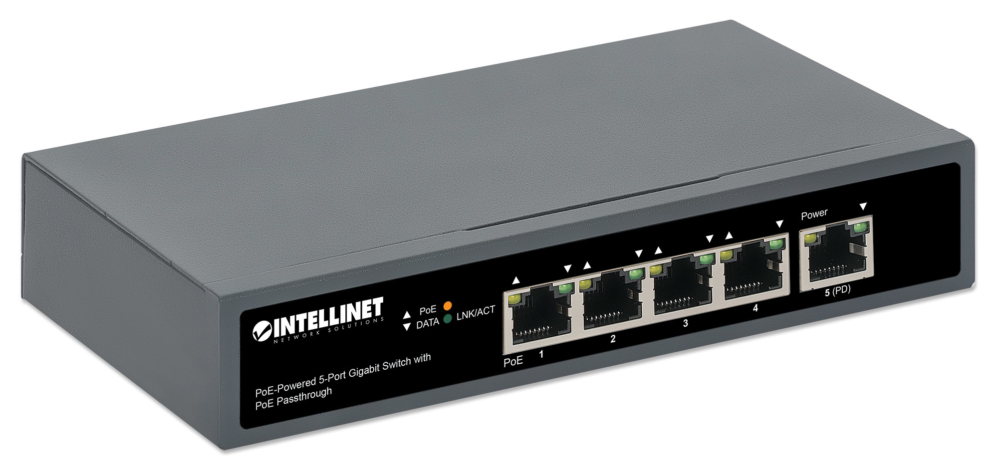 Intellinet 561808