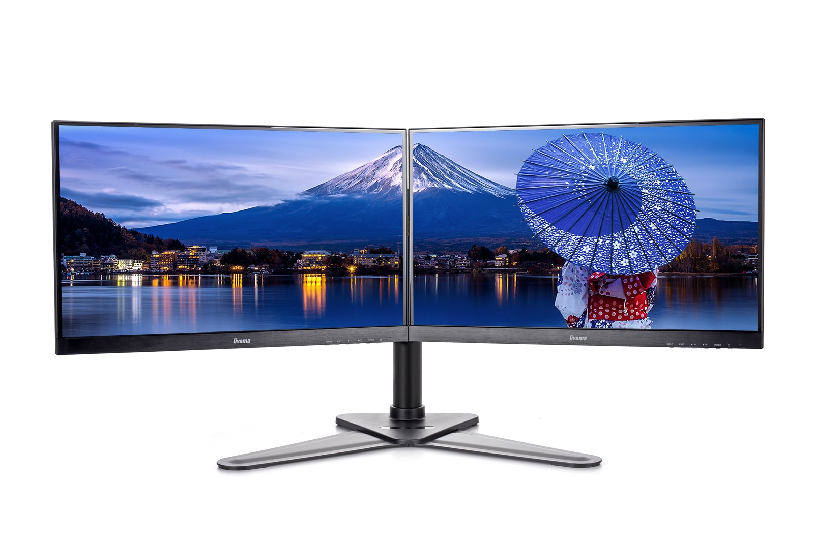 iiyama DS1002D-B1