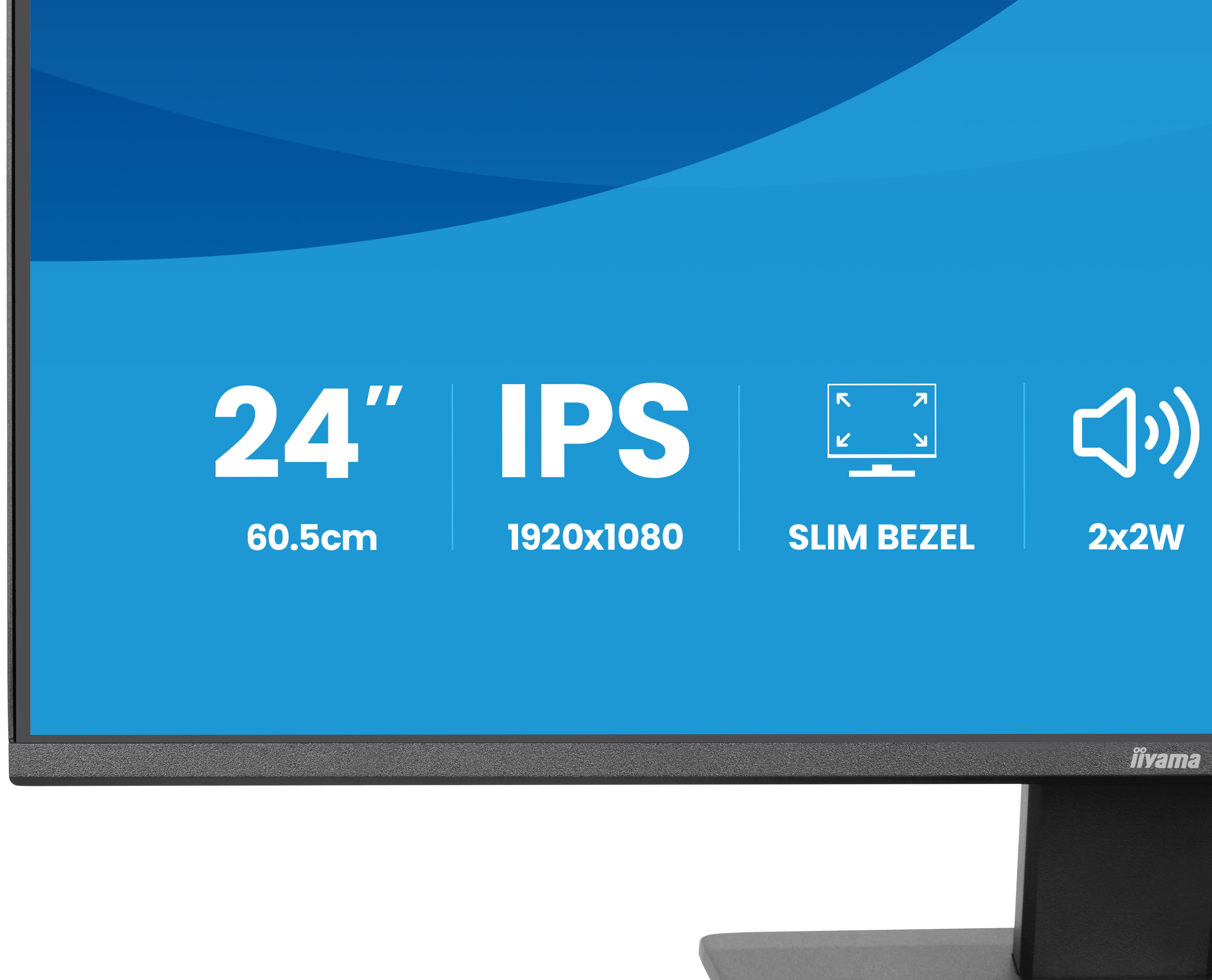 iiyama ProLite X2493HSU-B1