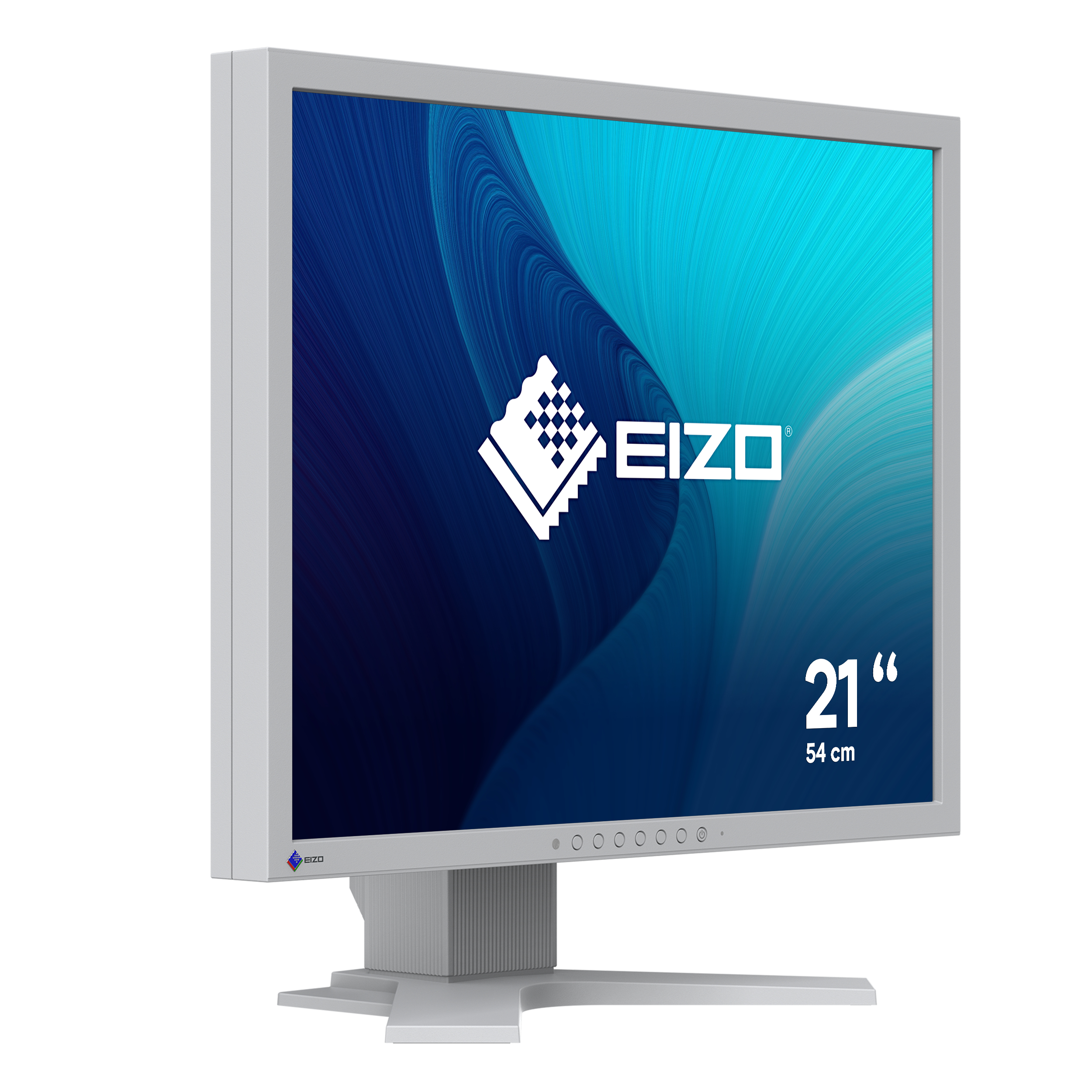 EIZO FlexScan S2134-GY