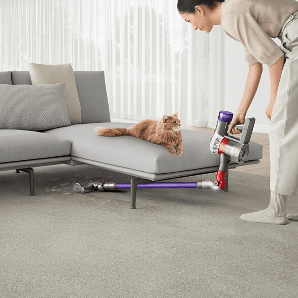 DYSON V8 Origin Akku-Stielsauger silber violett, EAN: 5025155070932