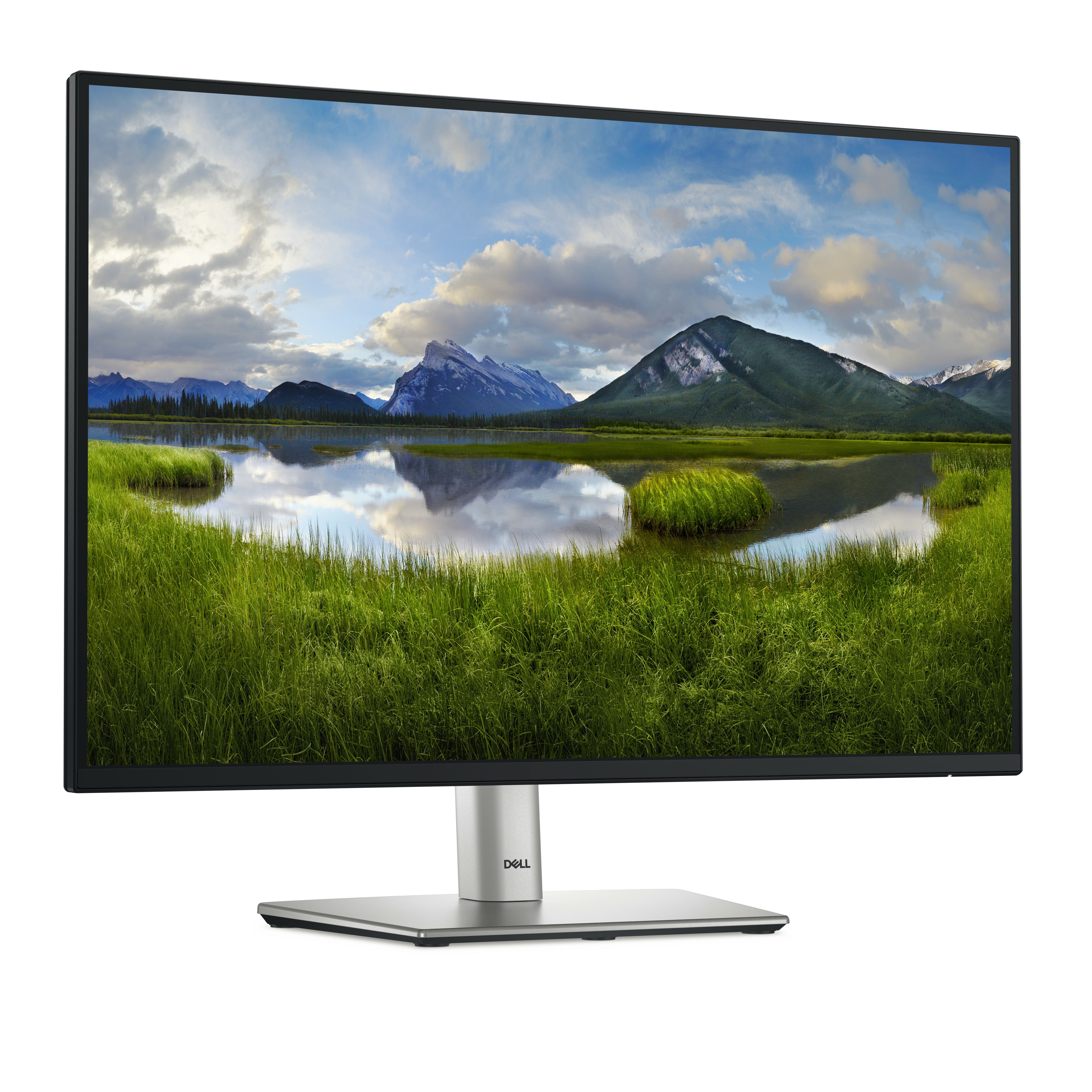 Dell P2425E