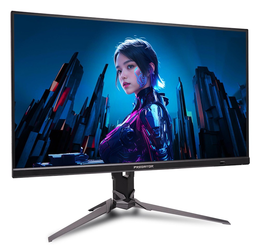 Acer Predator UM.HX3EE.501