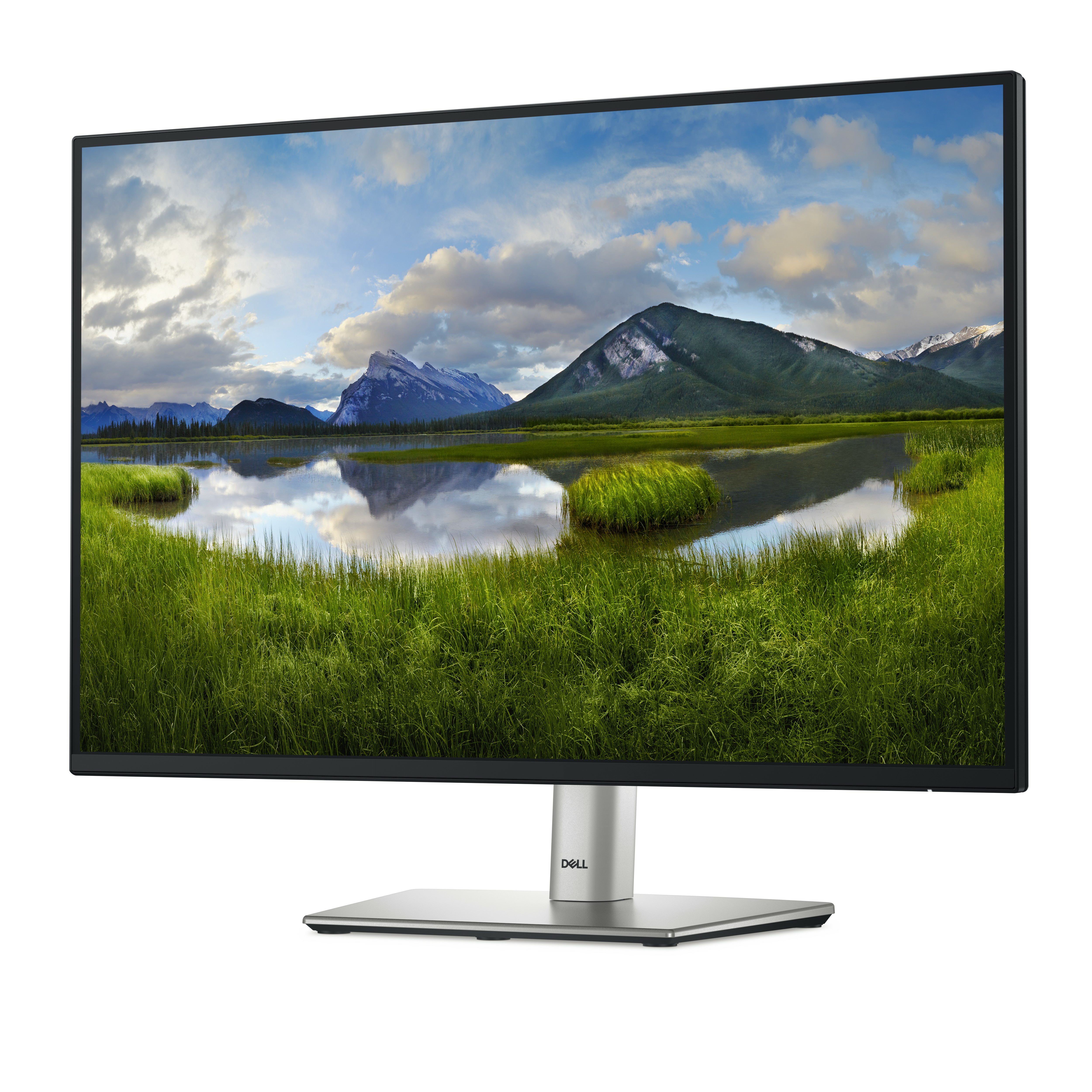 Dell P2425