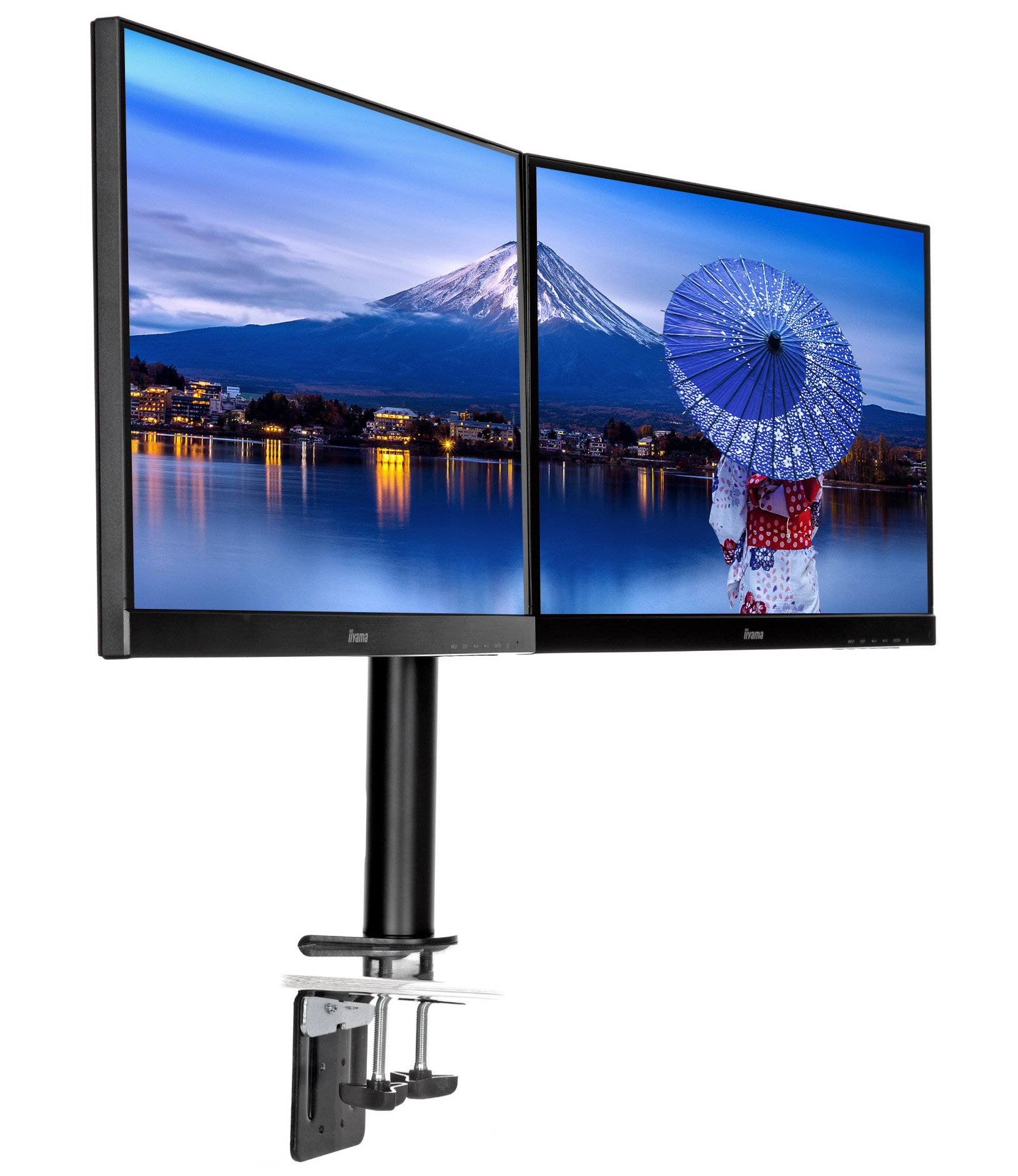 iiyama DS1002C-B1
