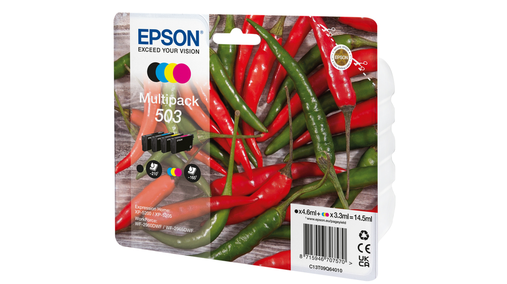 Epson 503