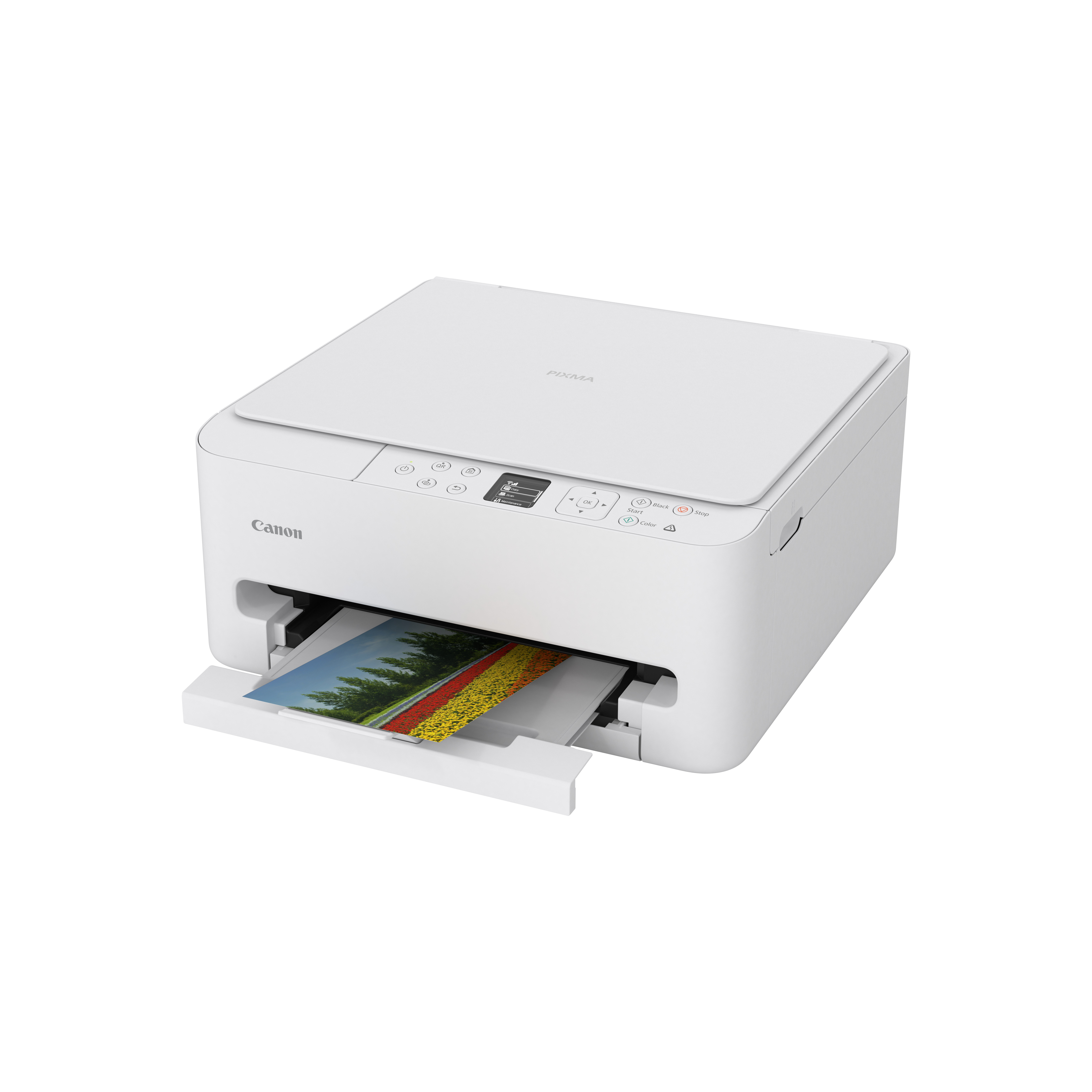 Canon PIXMA TS6550i