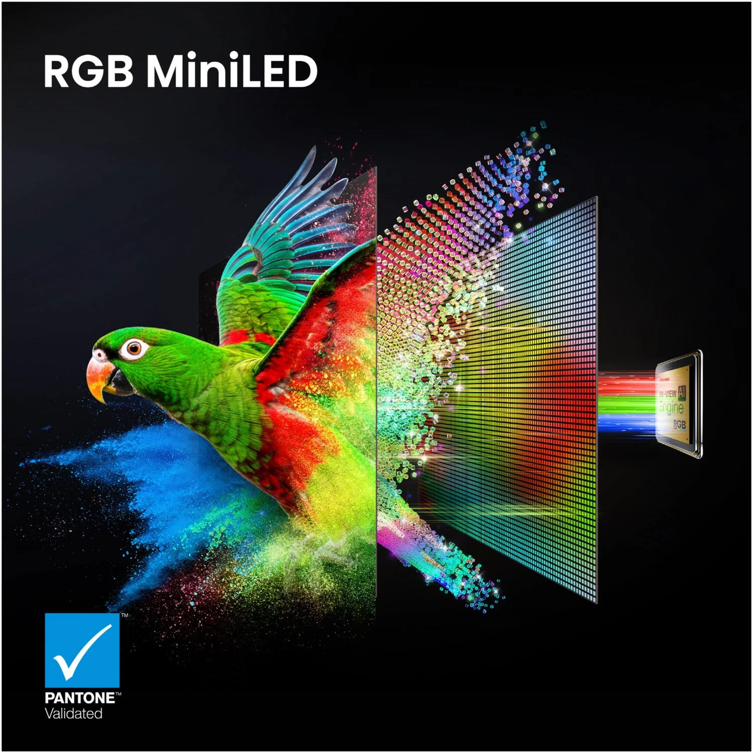 Hisense RGB MiniLED Technologie Nahaufnahme Dioden