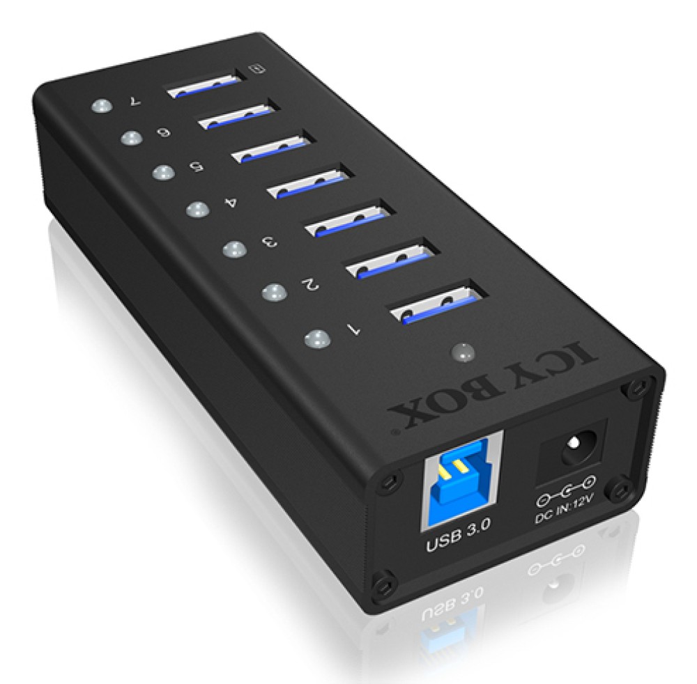 ICY BOX IB-AC618
