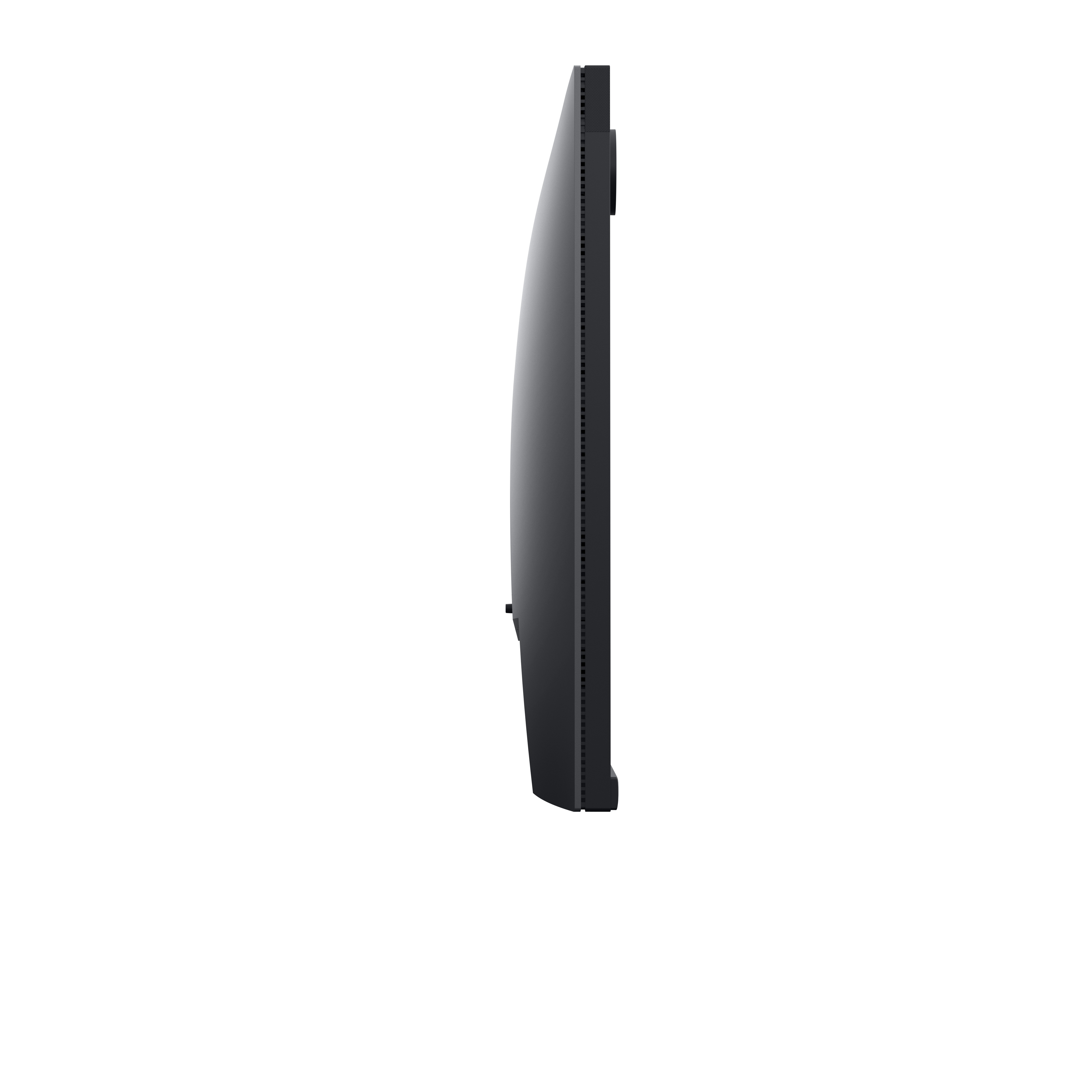 Dell P2424HEB