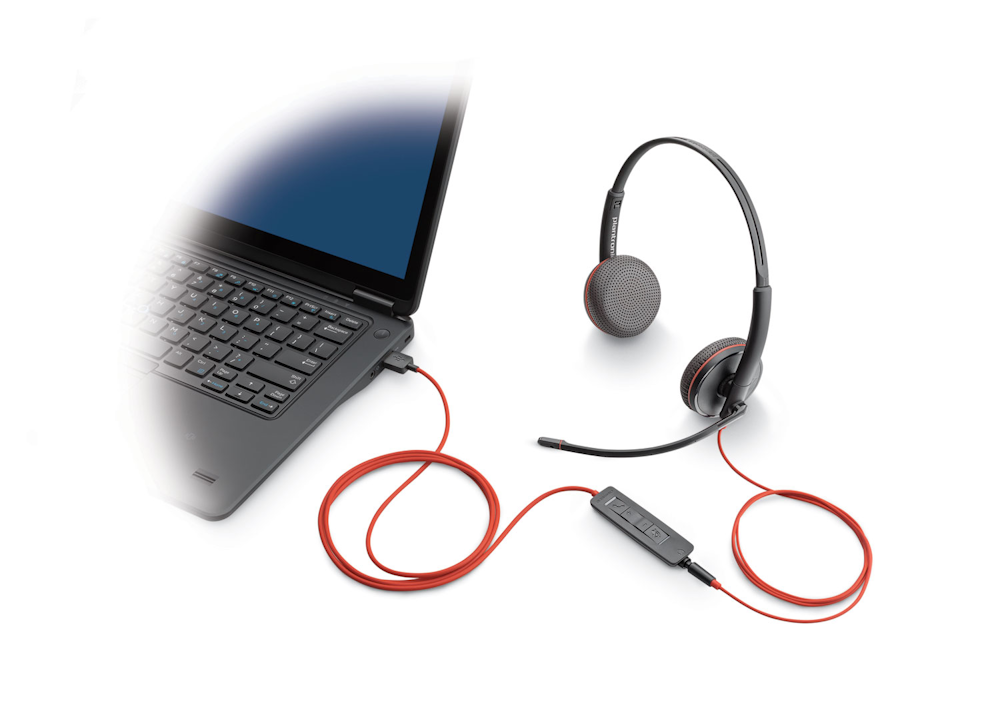 HP Poly Blackwire 3220 USB-C Stereo-Headset + USB-C/A-Adapter