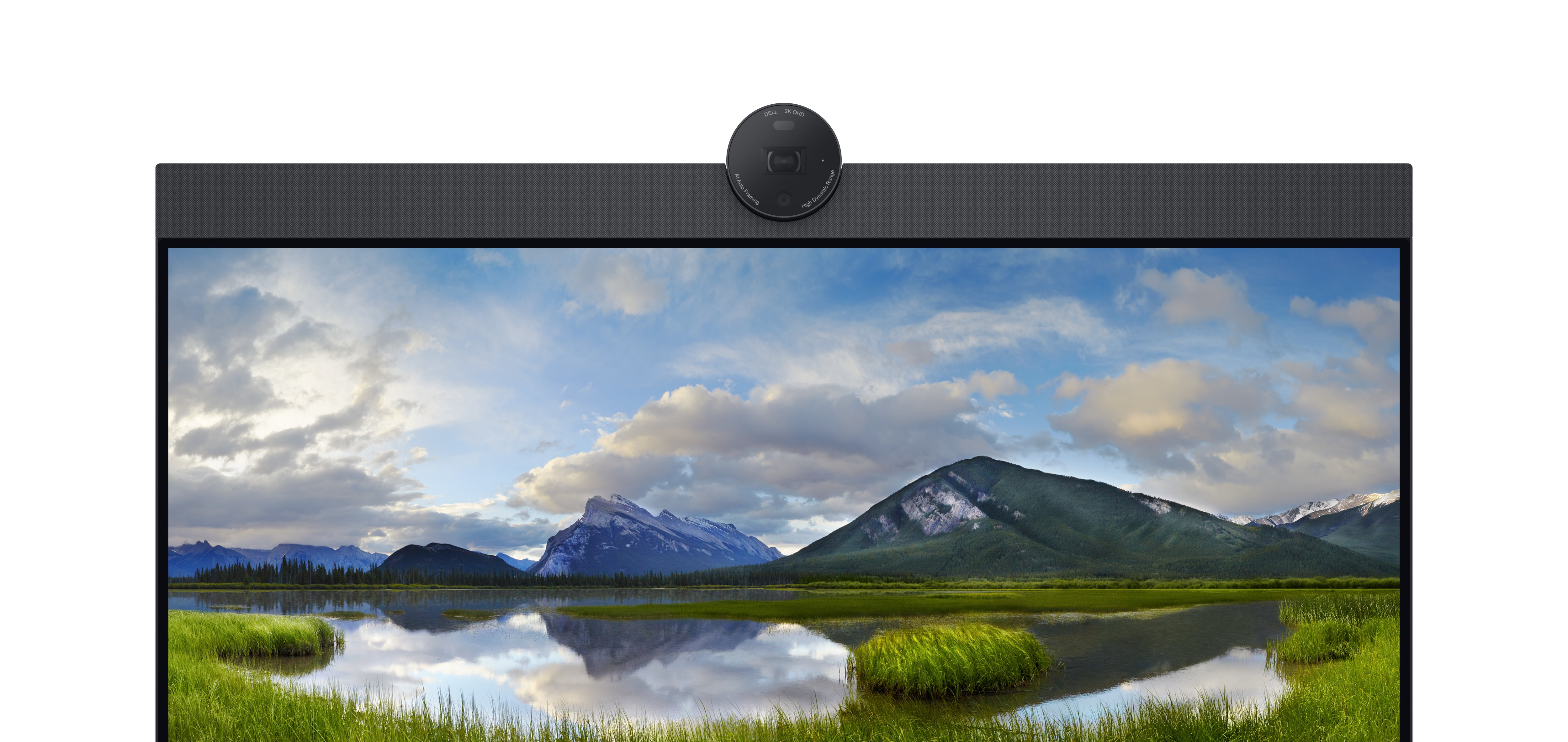 Dell P2424HEB