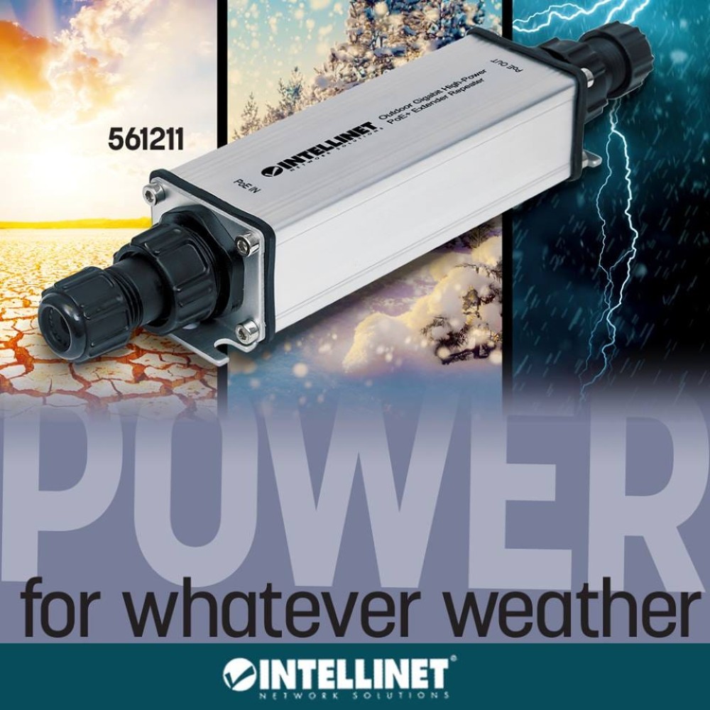 Intellinet 561211