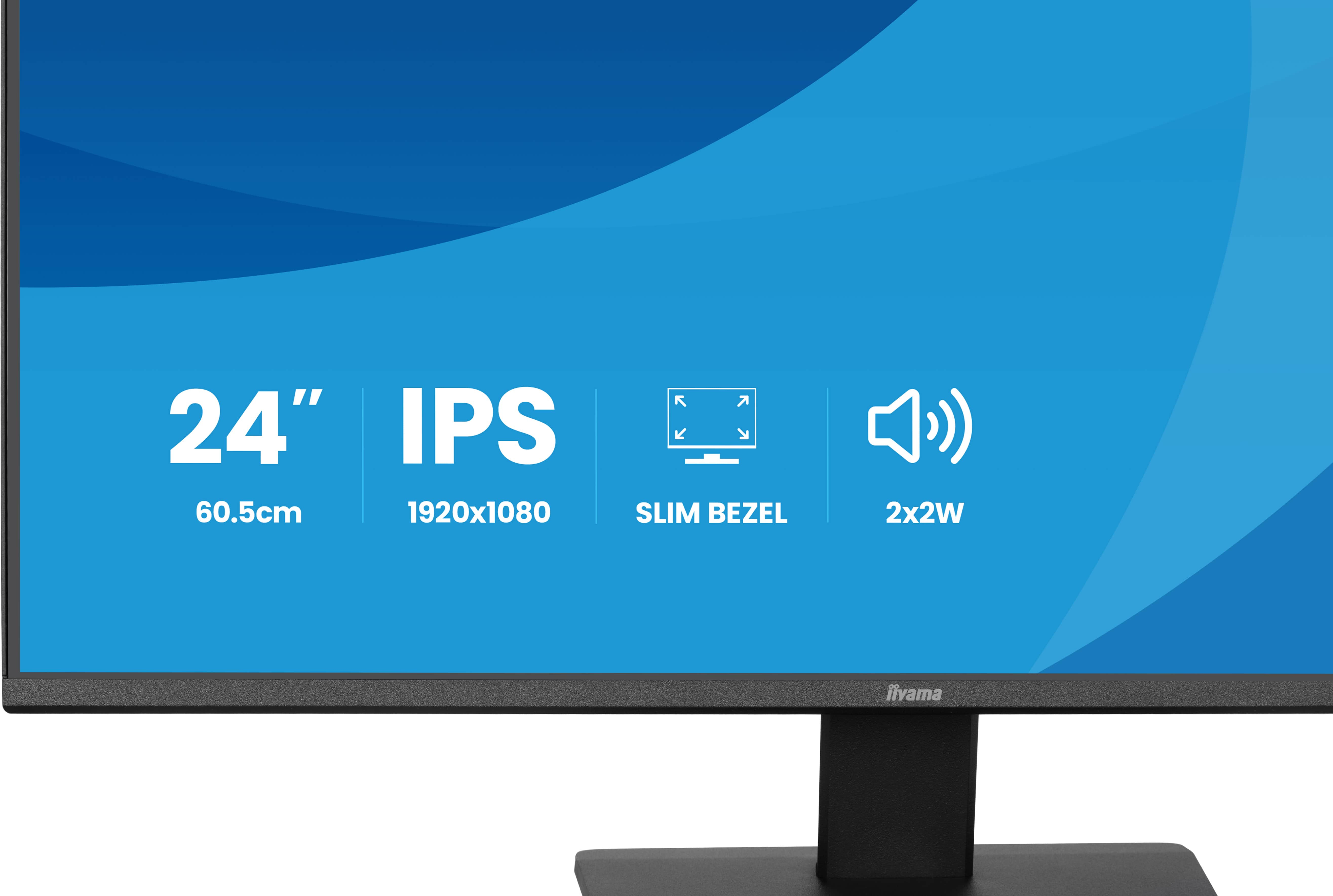 iiyama ProLite X2491HS-B1