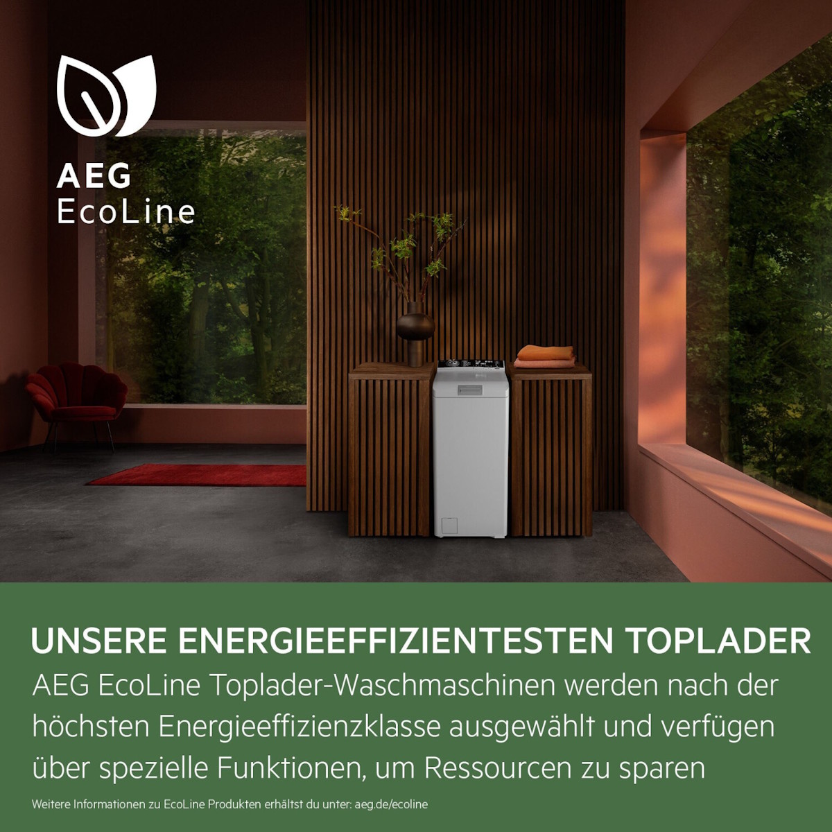 Nachhaltige Wäschepflege AEG AEG EcoLine Logo für energieeffiziente Geräte der Klasse A