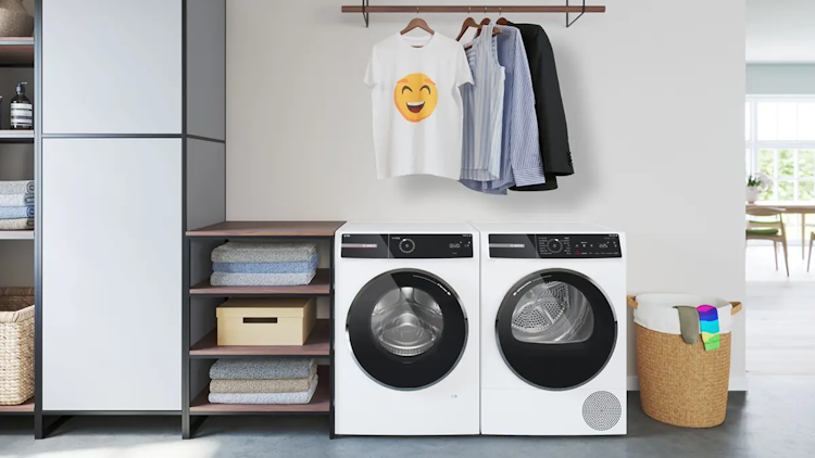 Bosch WGB2560X1 Fleckenautomatik