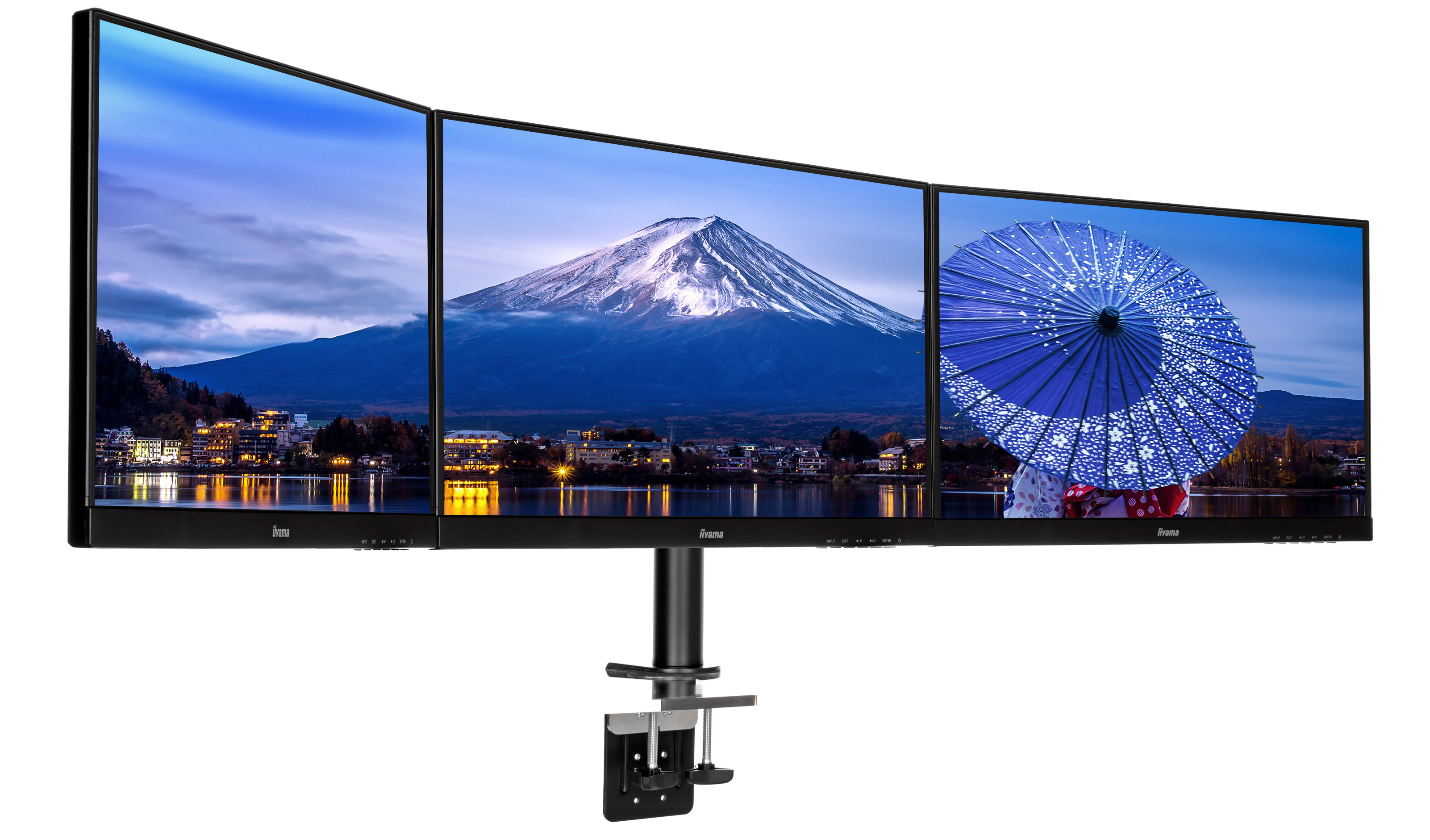 iiyama DS1003C-B1