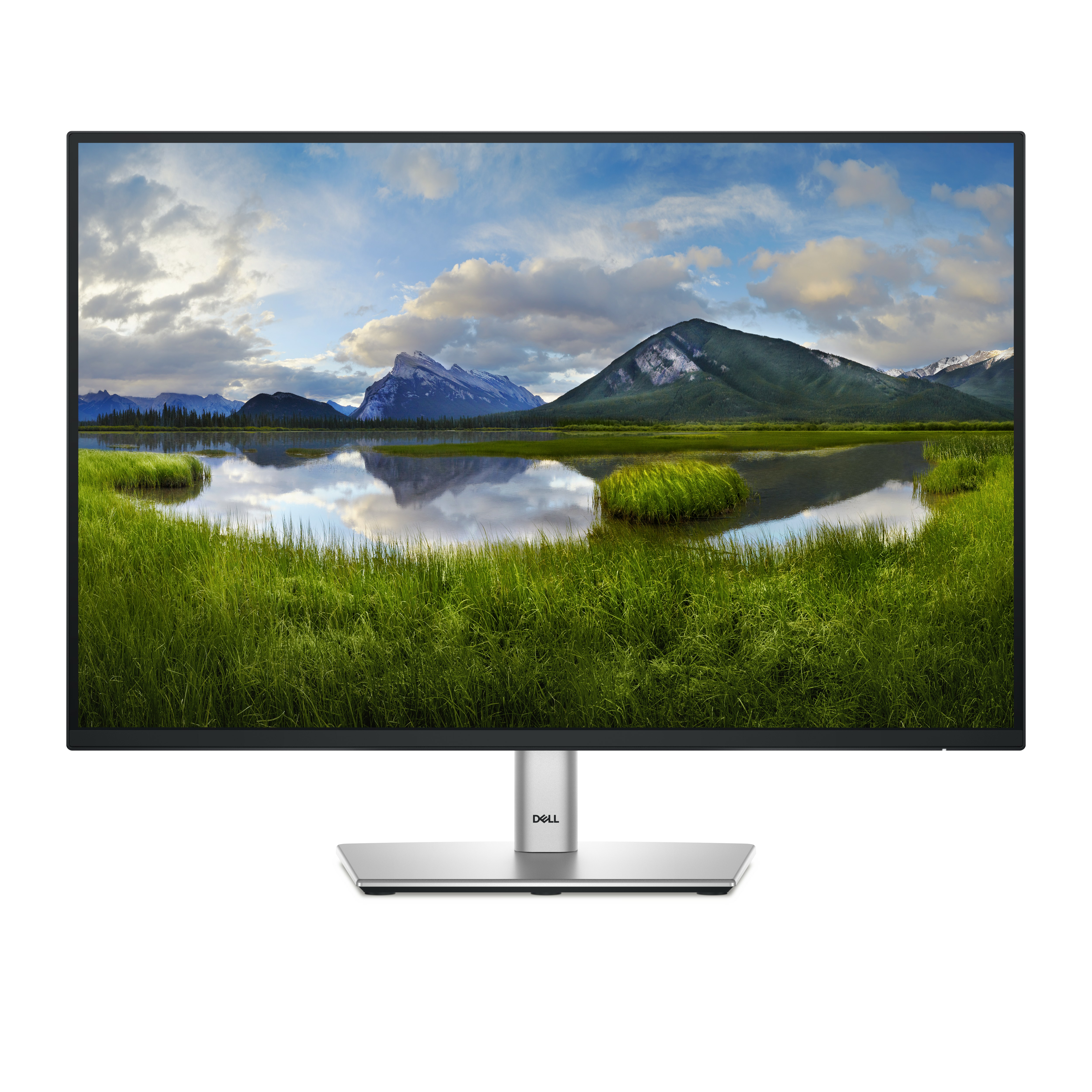 Dell P2425