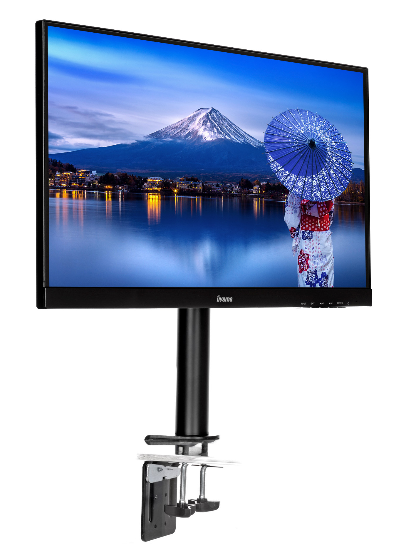iiyama DS1001C-B1