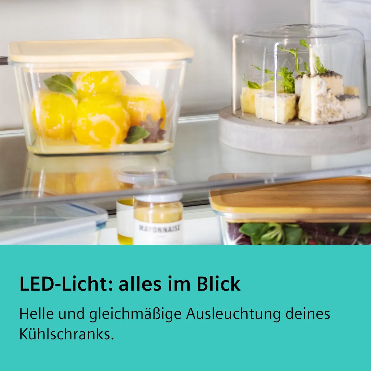 Helle und gleichmäßige LED-Beleuchtung im Siemens Kühlschrank