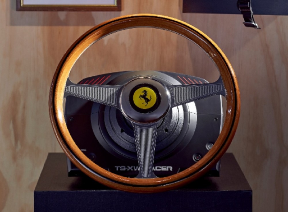 Thrustmaster 2960822