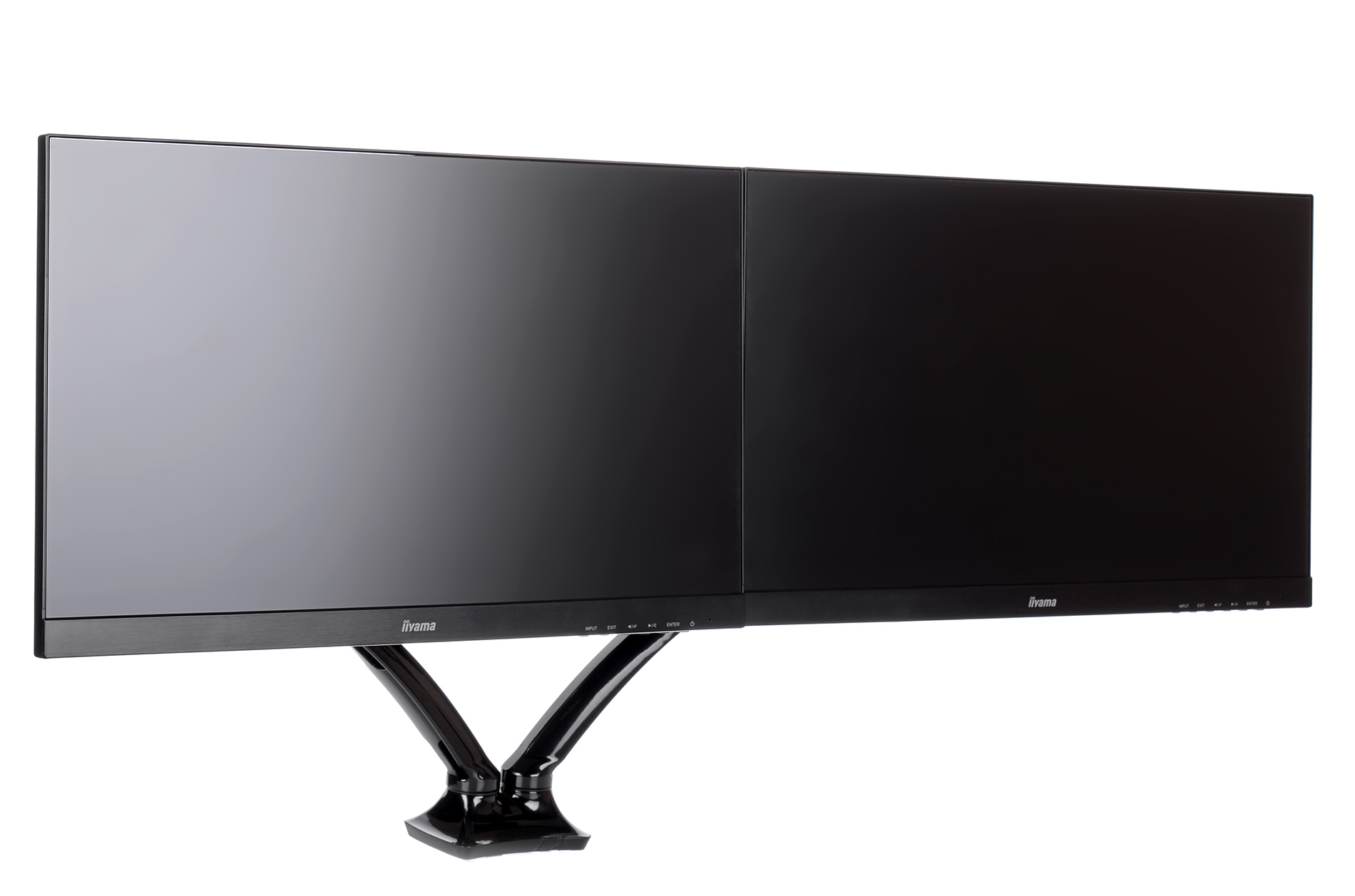 iiyama DS3002C-B1