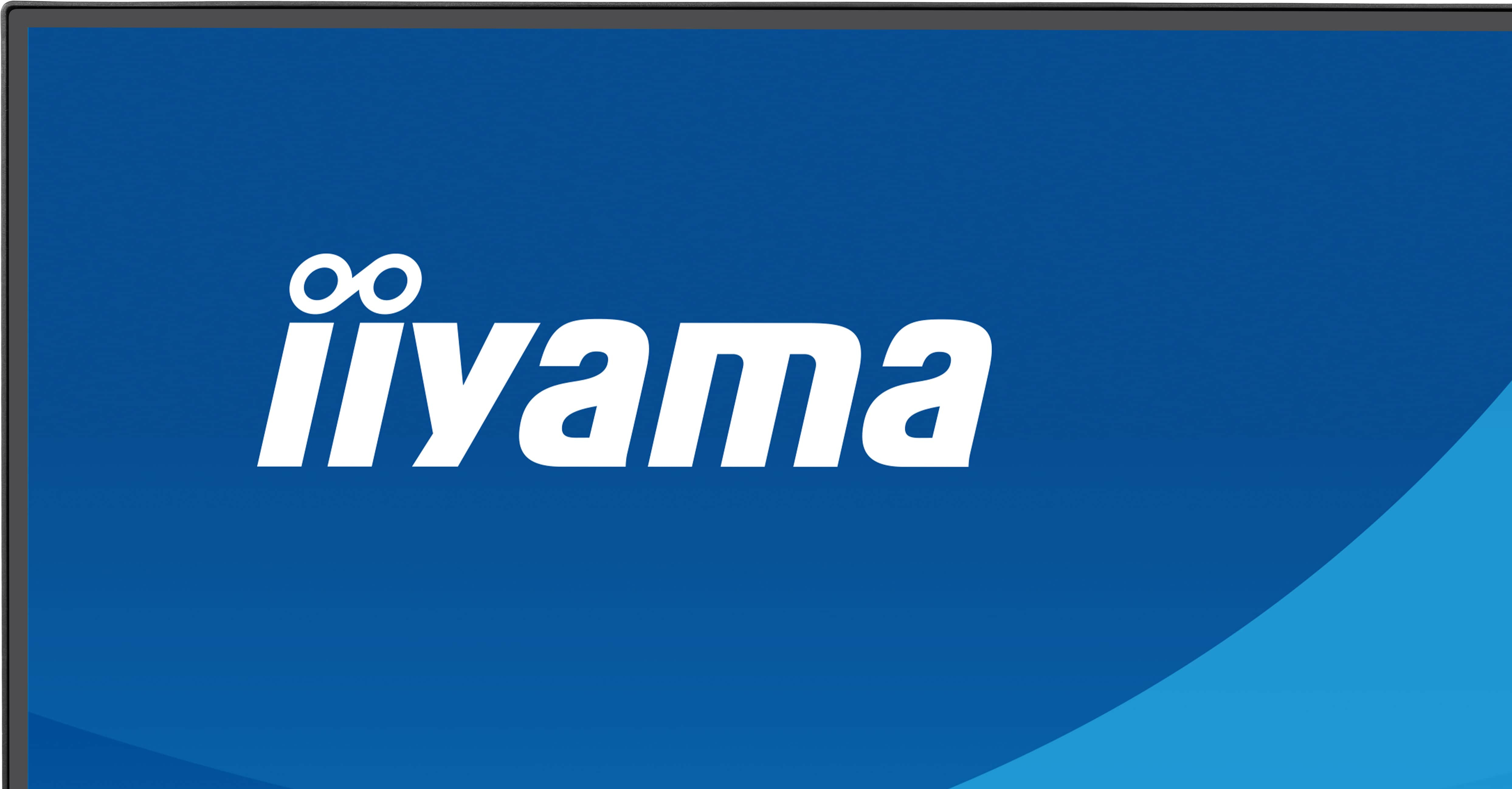 iiyama ProLite X2491HS-B1