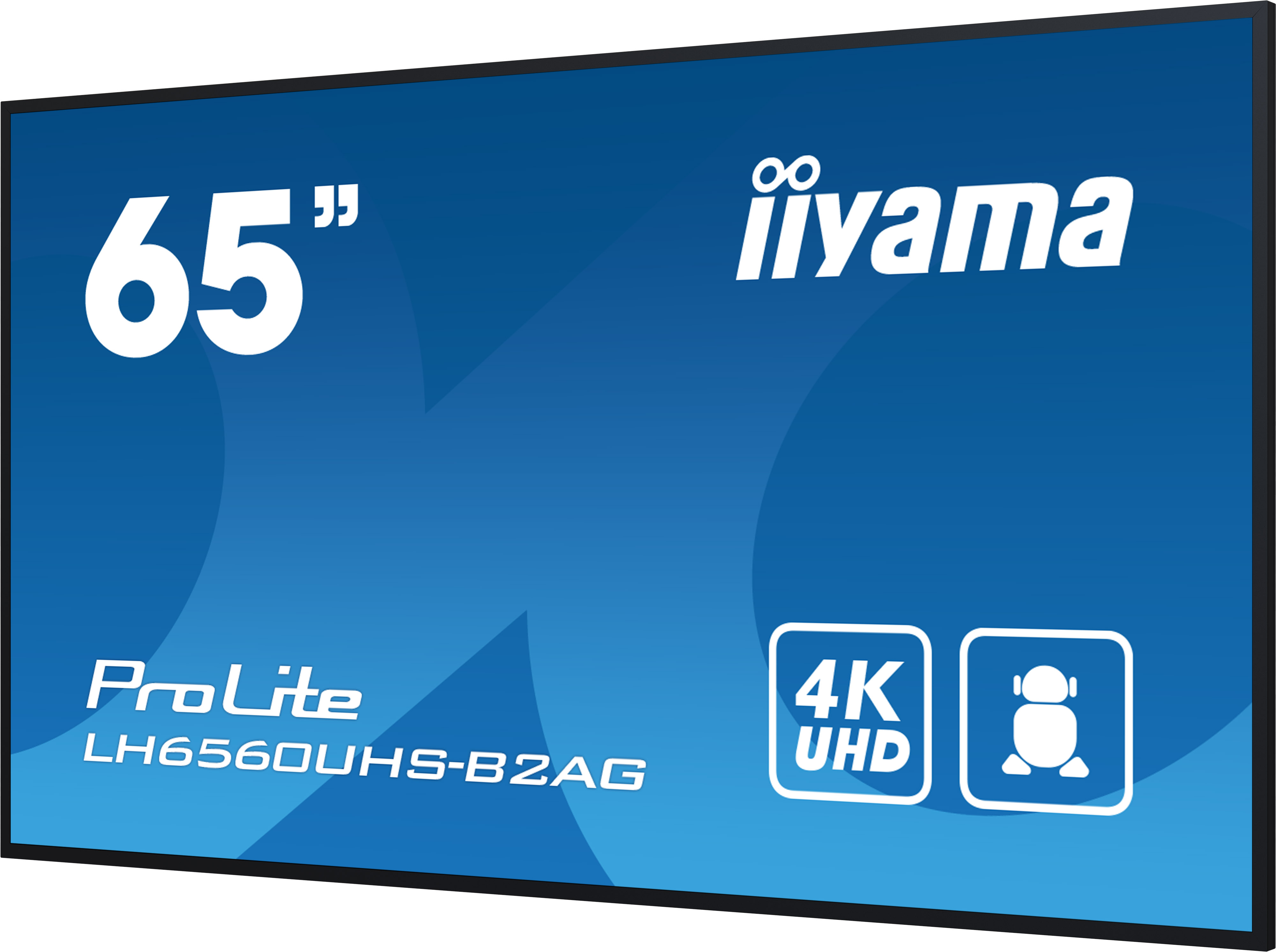 iiyama LH6560UHS-B2AG