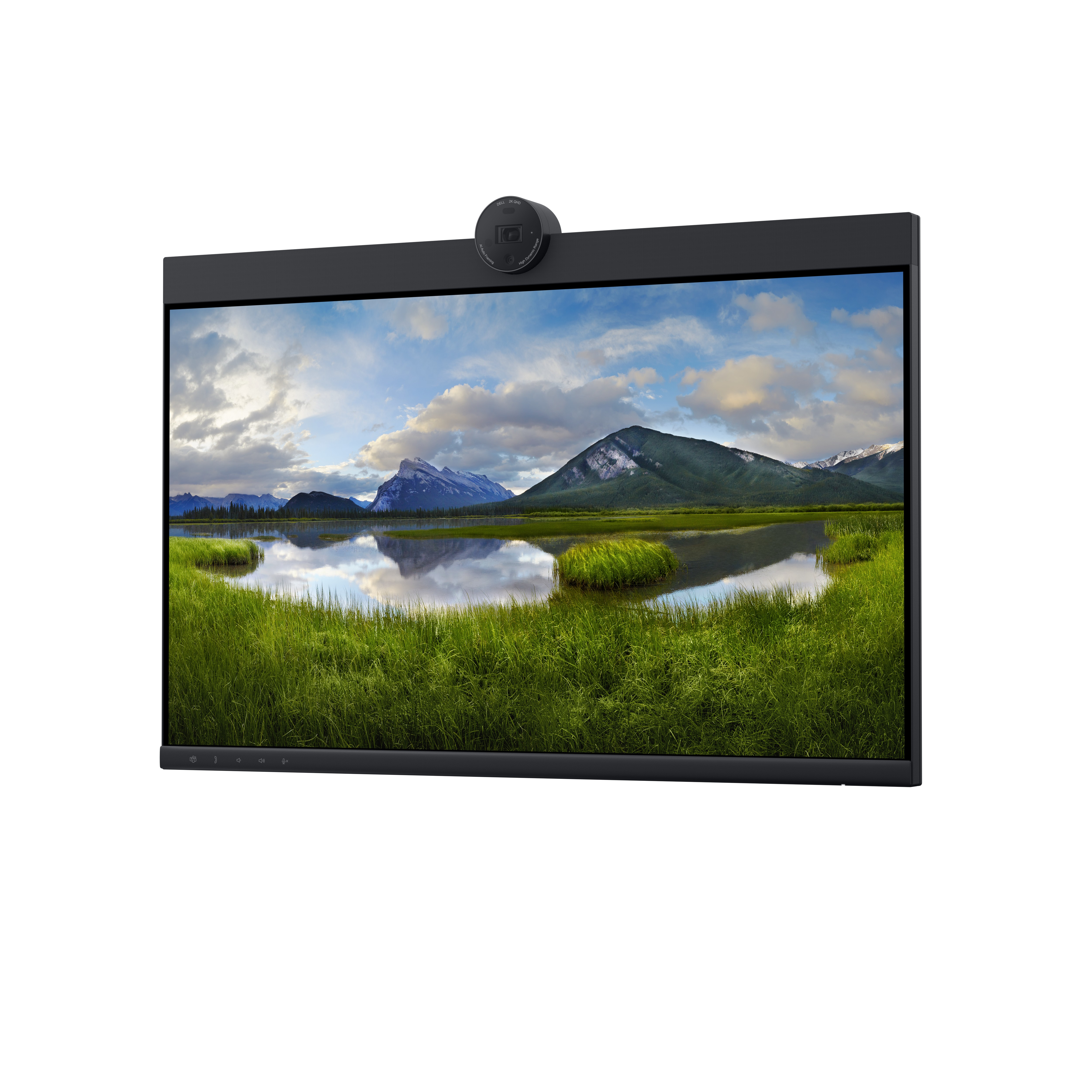 Dell P2424HEB