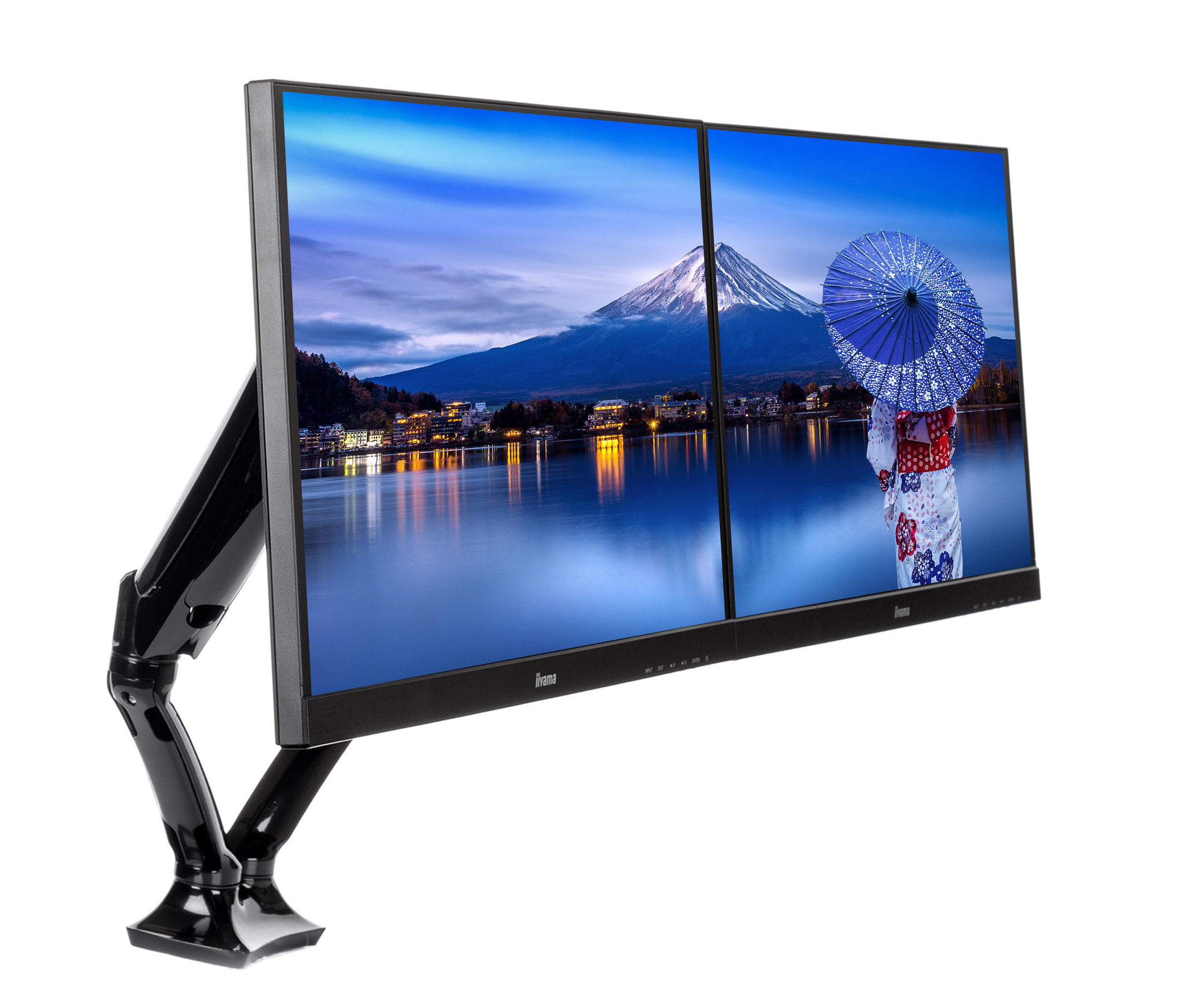 iiyama DS3002C-B1