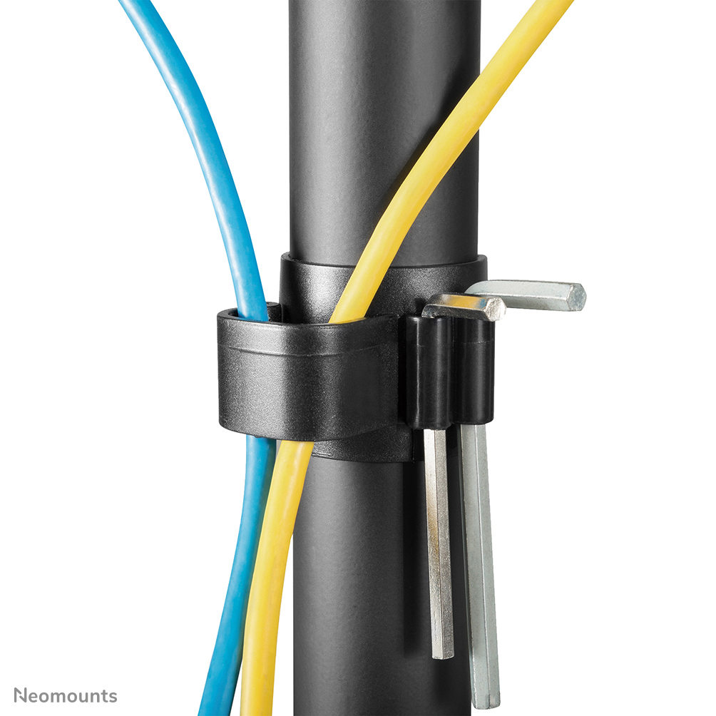 Neomounts FPMA-D550DD3BLACK
