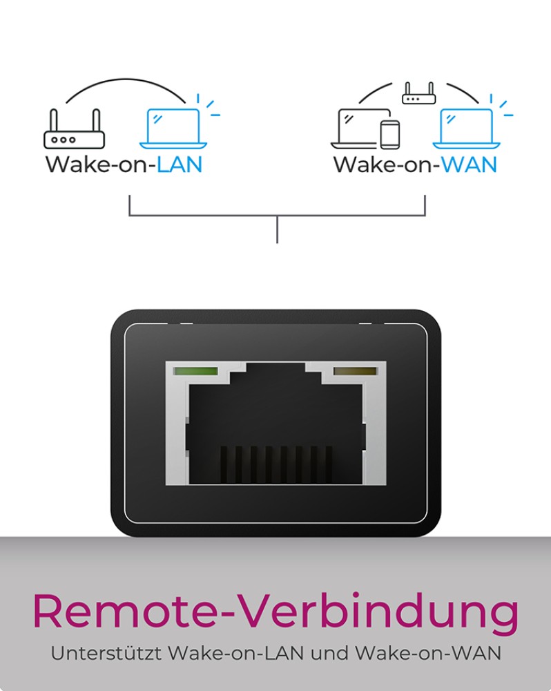 ICY BOX IB-HUB1419-LAN