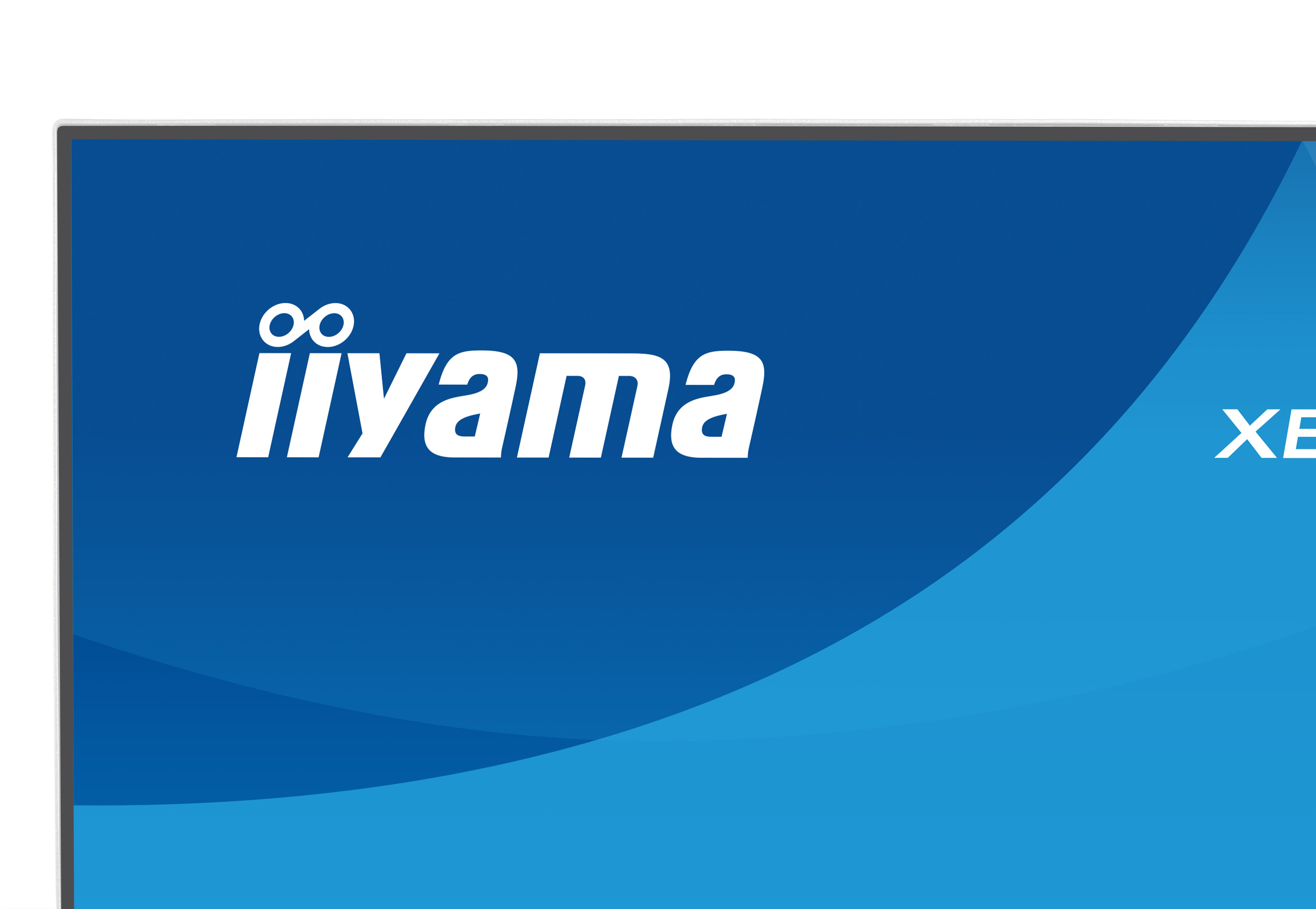 iiyama ProLite XB2497HSU-W1