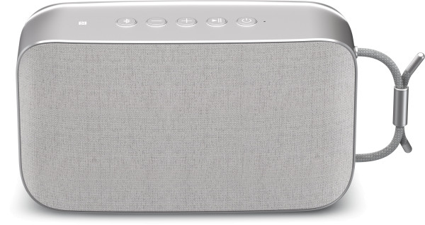 TechniSat BluSpeaker TWS XL Bluetooth Lautsprecher, grau